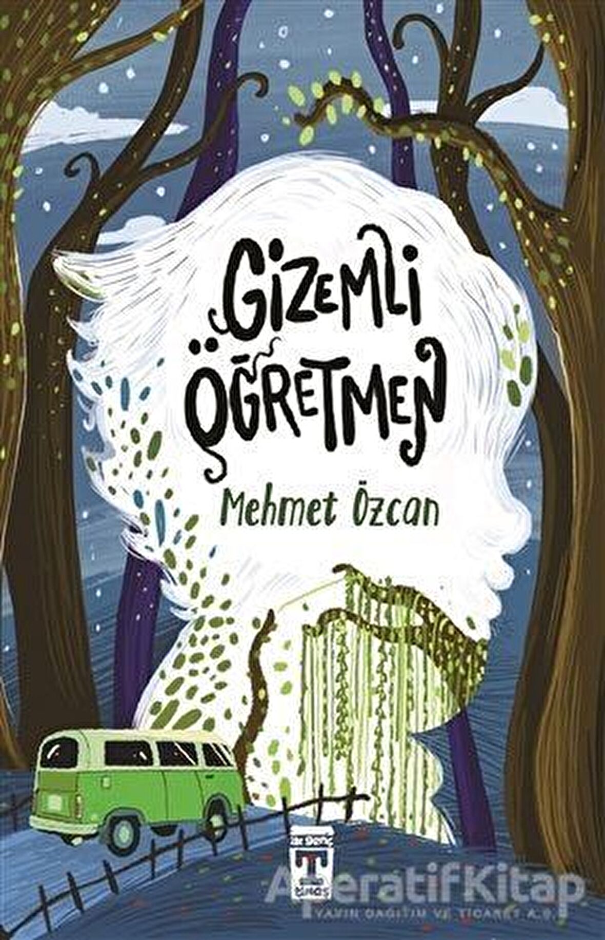 Gizemli Öğretmen