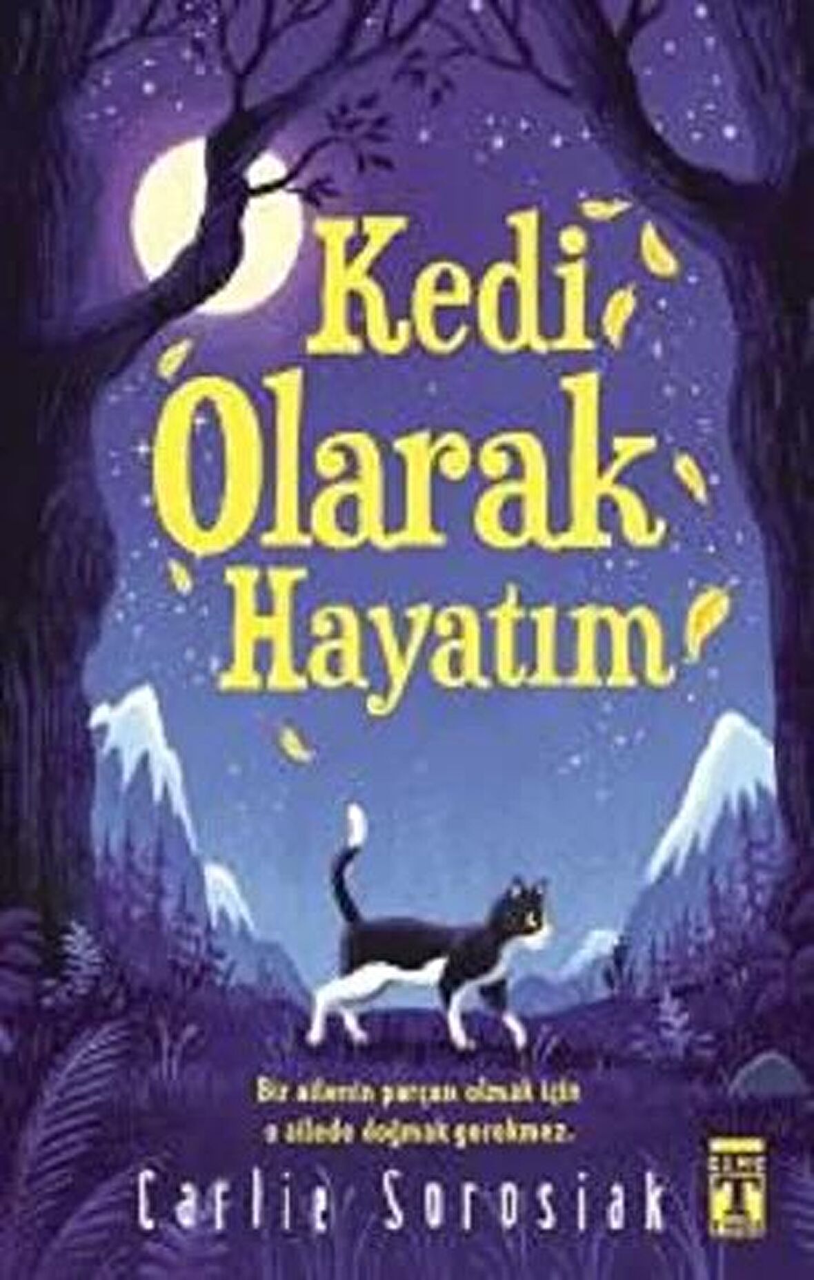 Kedi Olarak Hayatım