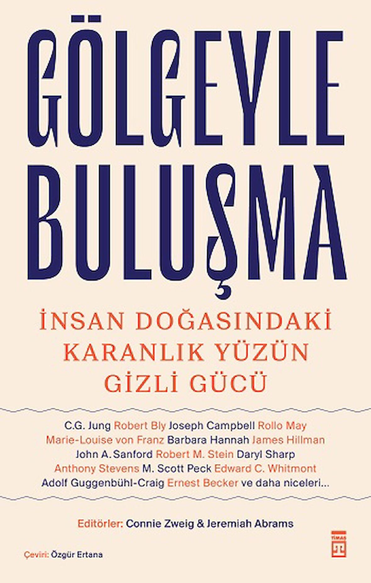 Gölgeyle Buluşma ve İnsan Doğasındaki Karanlık Yüzün Gizli Gücü