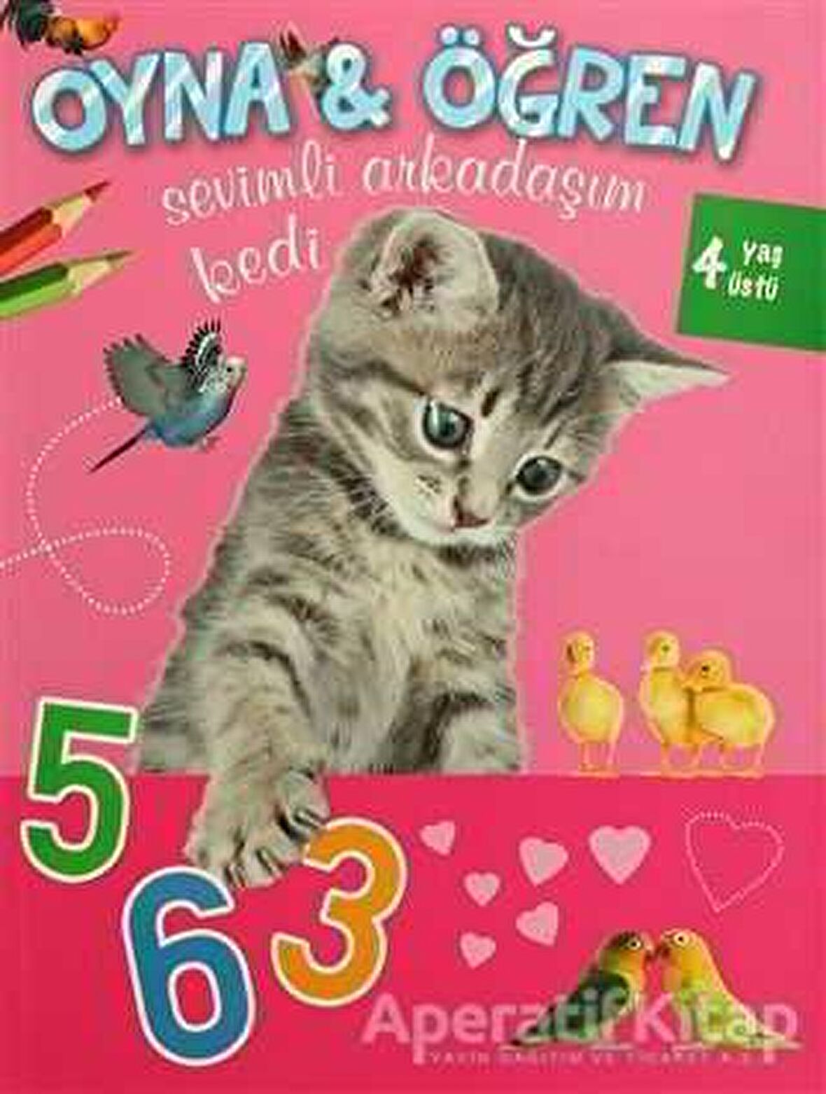 Sevimli Arkadaşım Kedi
