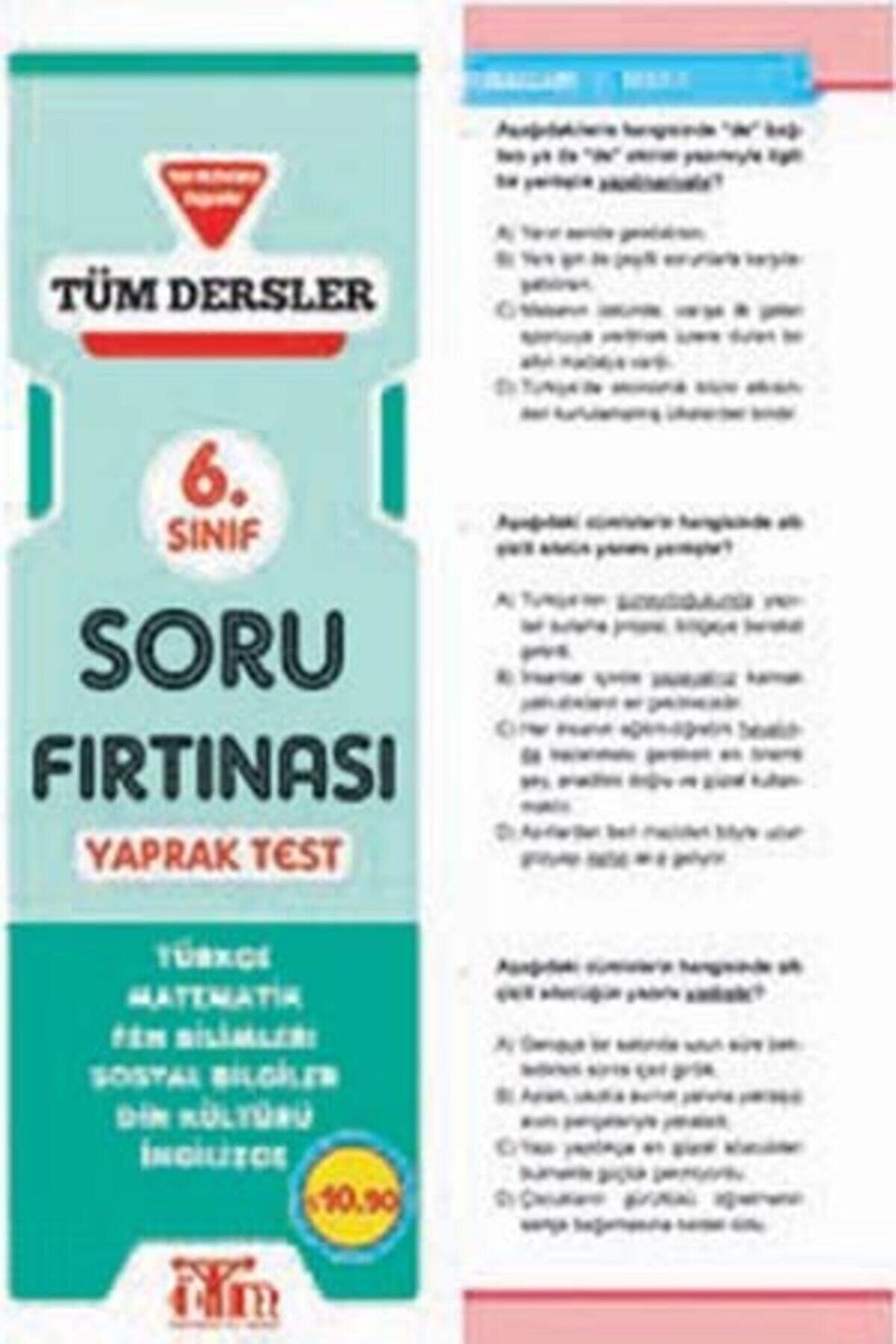 Karatay Yayınları 6.Tüm Dersler Yaprak Test Soru Fırtınası