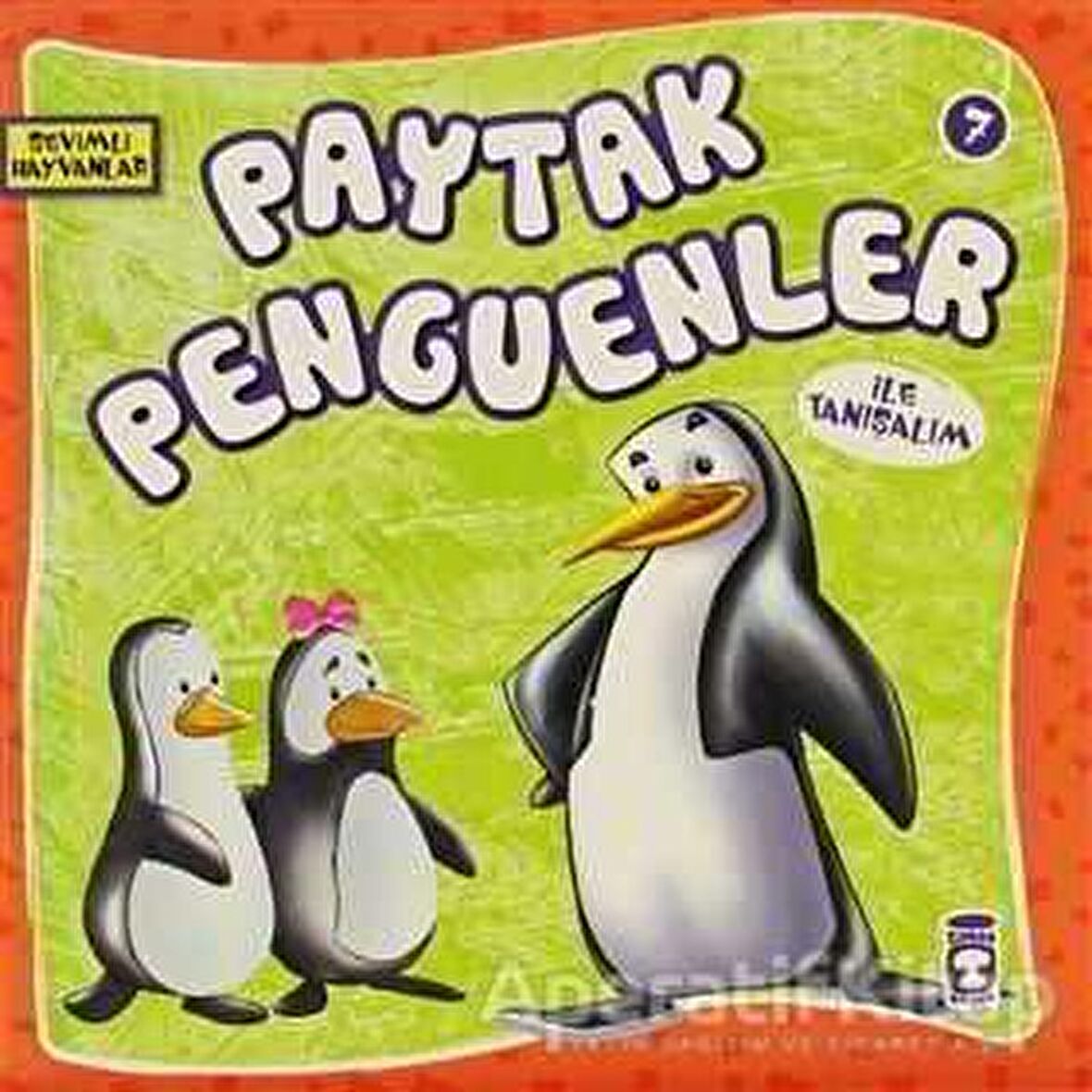 Paytak Penguenler ile Tanışalım