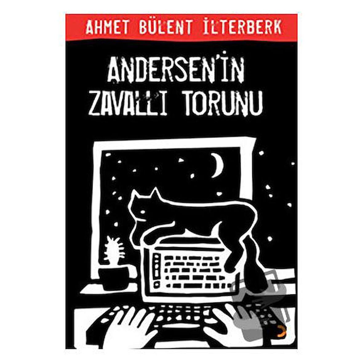 Andersen’in Zavallı Torunu