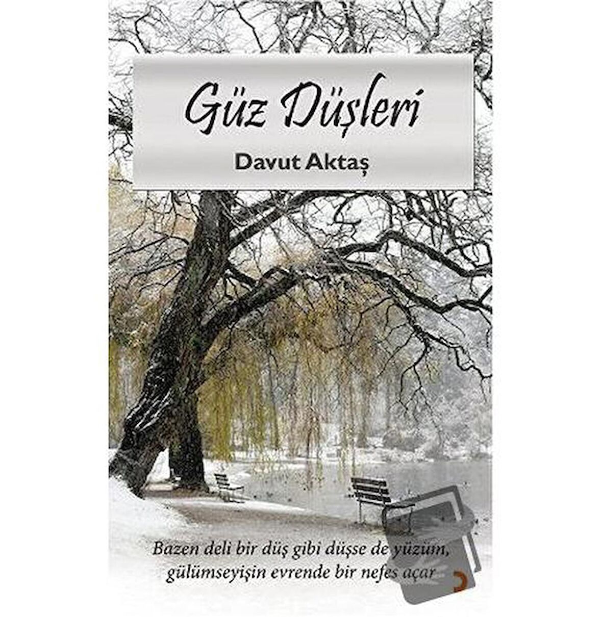 Güz Düşleri