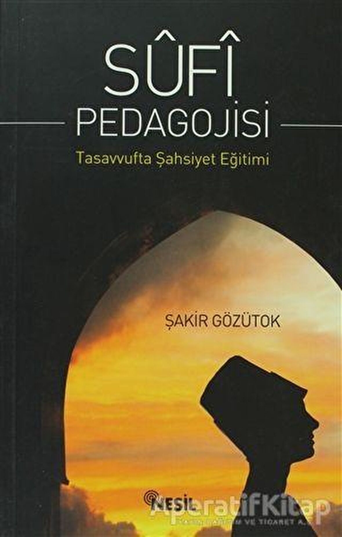 Sufi Pedagojisi