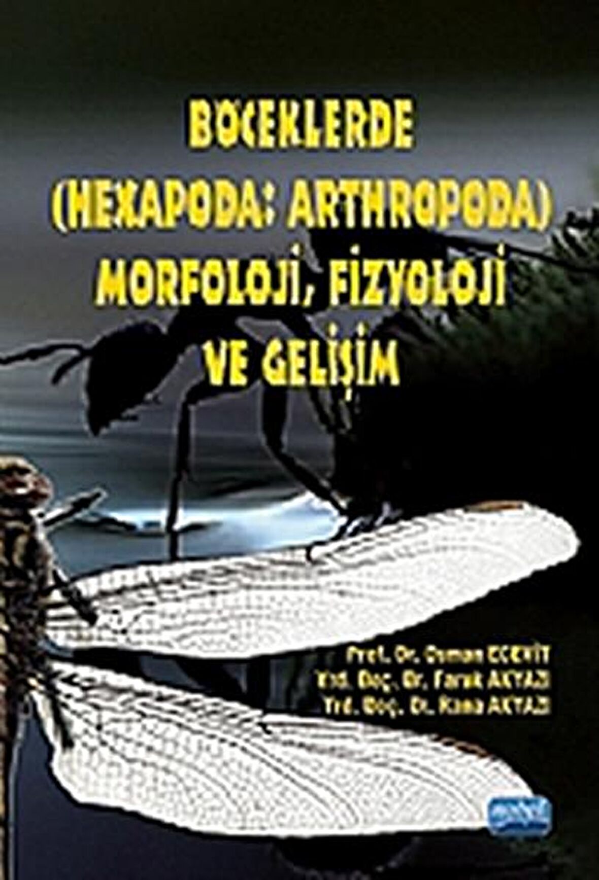 Böceklerde (Hexapoda: Arthropoda) Morfoloji, Fizyoloji ve Gelişim