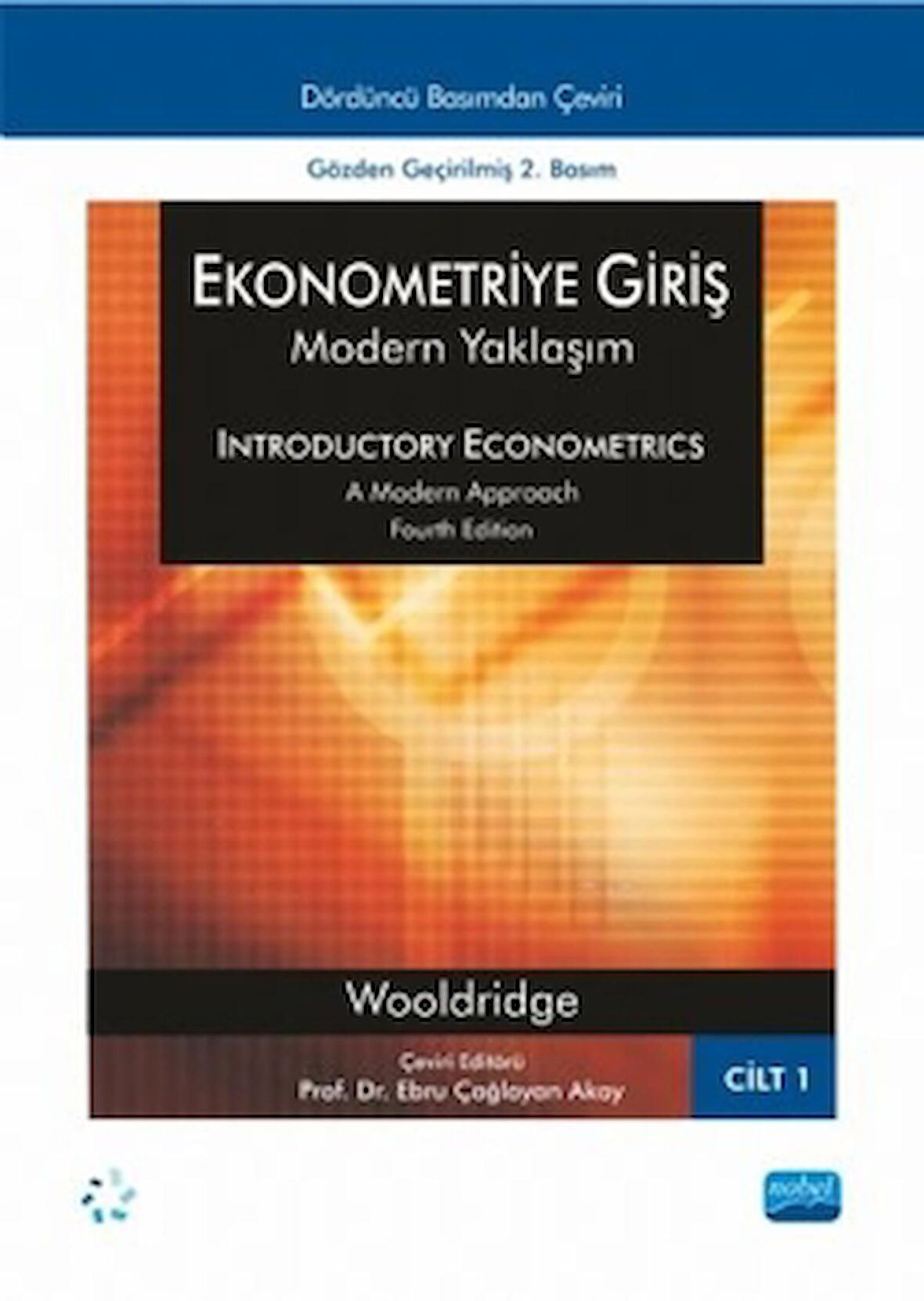 Ekonometriye Giriş: Modern Yaklaşım Cilt 1