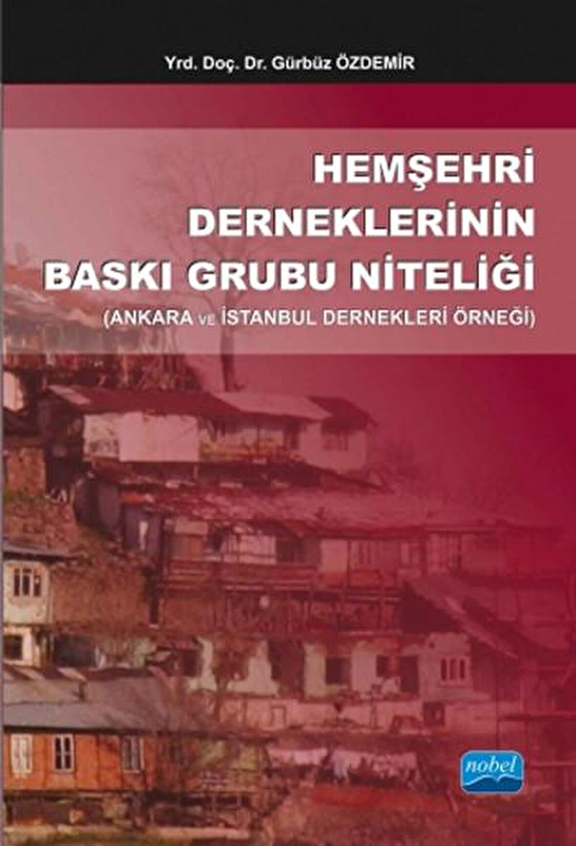 Hemşehri Derneklerinin Baskı Grubu Niteliği