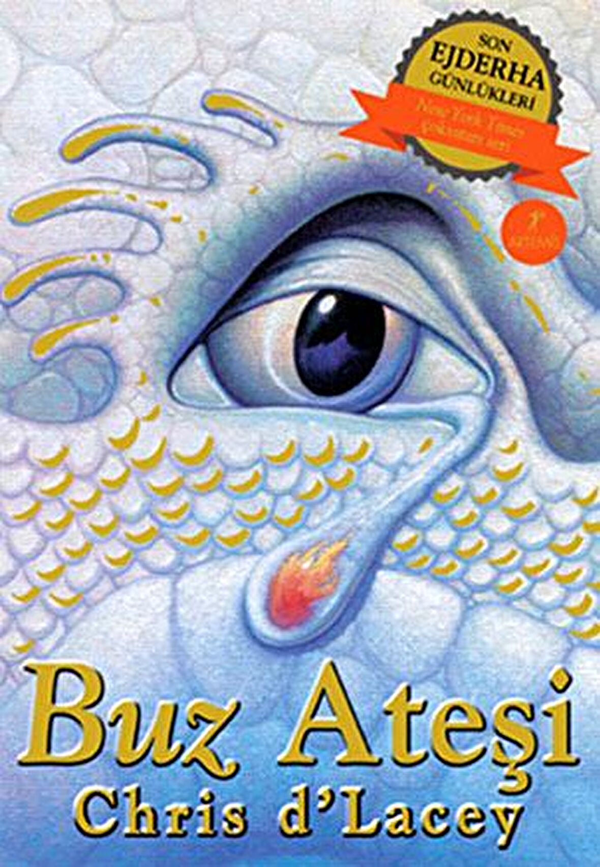 Son Ejderha Günlükleri - Buz Ateşi