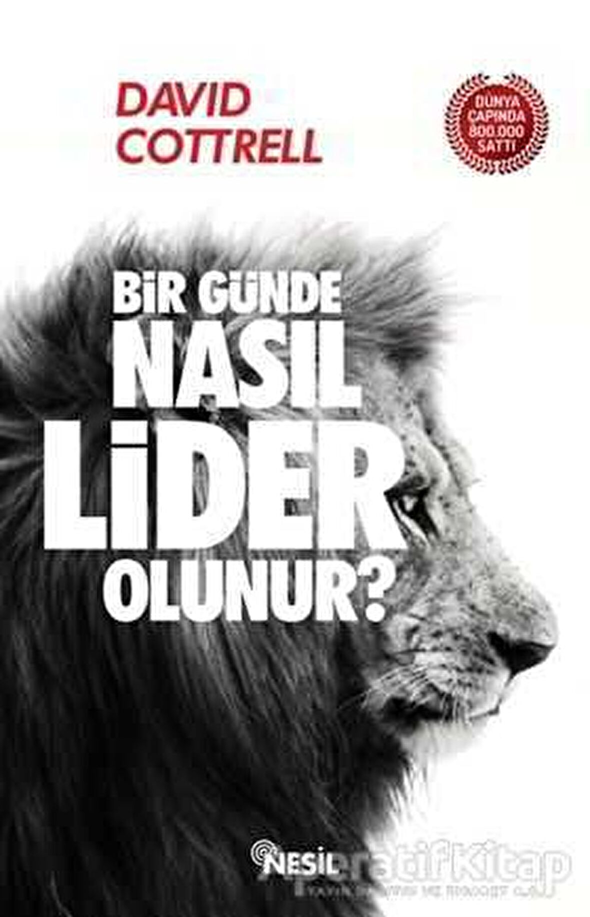 Bir Günde Nasıl Lider Olunur?