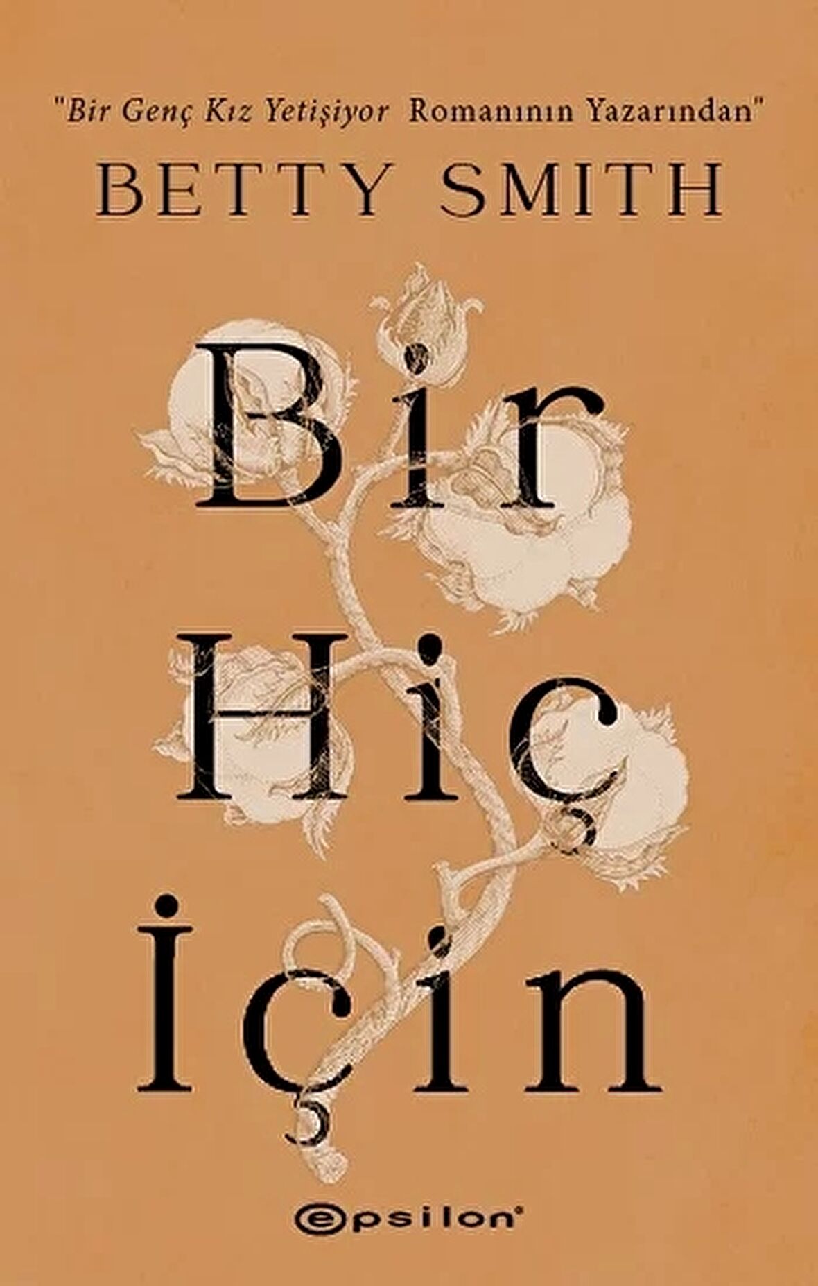 Bir Hiç İçin