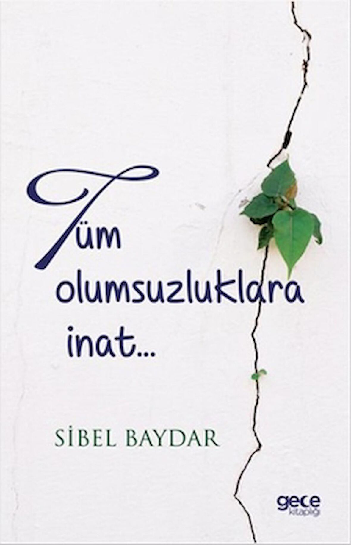 Tüm Olumsuzluklara İnat