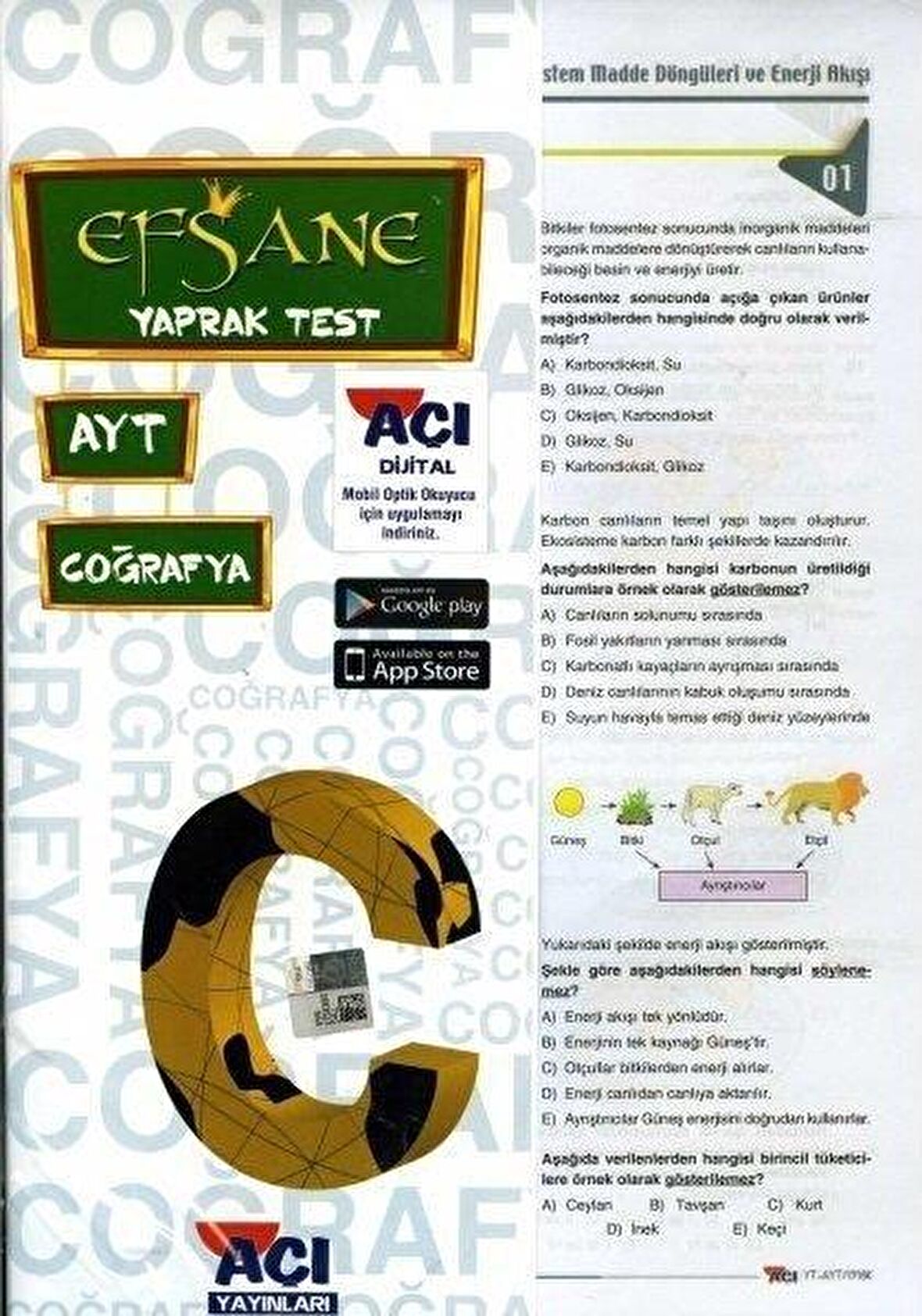 AYT Coğrafya EFSANE Çek Kopart Yaprak Test