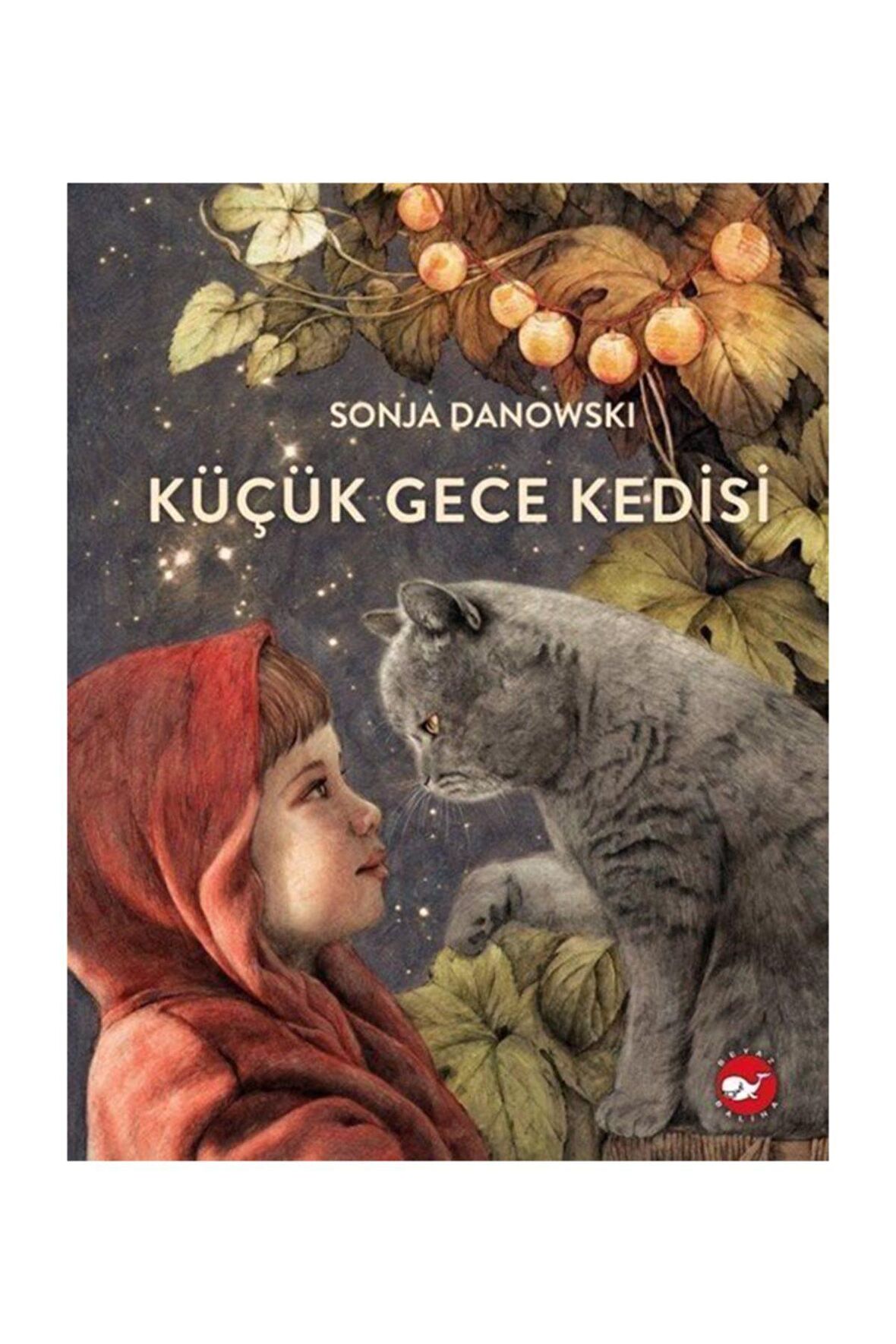 Küçük Gece Kedisi