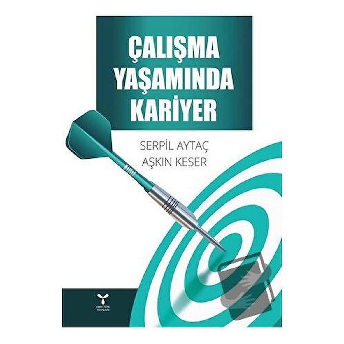 Çalışma Yaşamında Kariyer