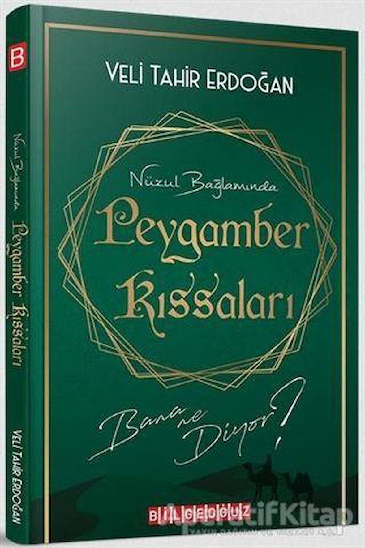 Nüzul Bağlamında Peygamber Kıssaları Bana Ne Diyor? - Veli Tahir Erdoğan - Bilgeoğuz Yayınları