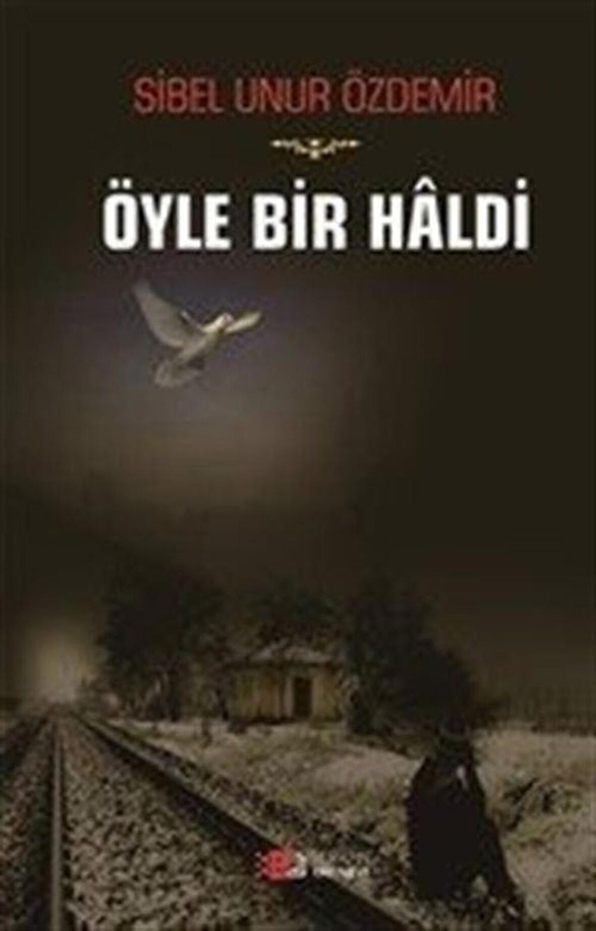 Öyle Bir Haldi