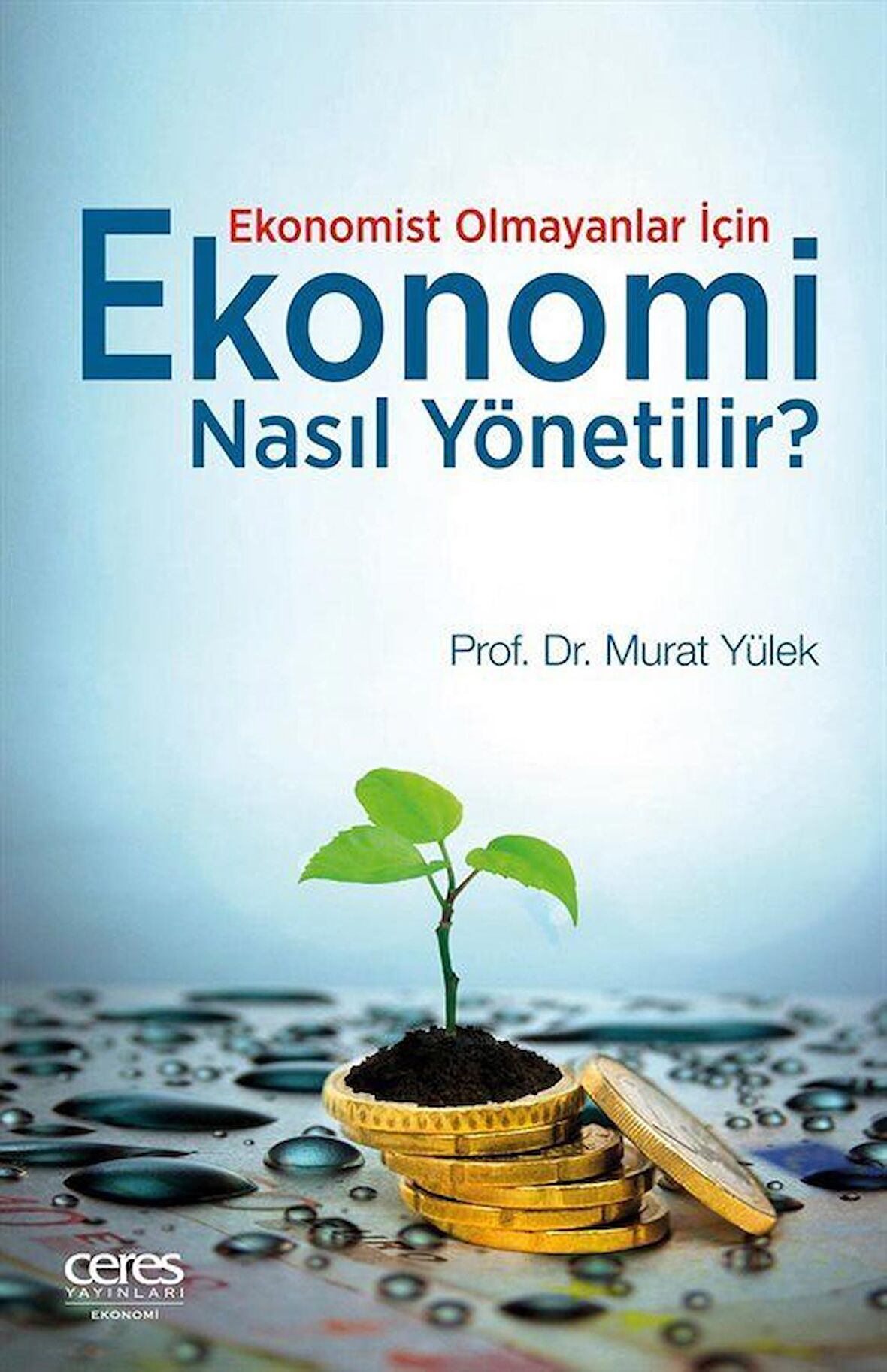 Ekonomist Olmayanlar İçin Ekonomi Nasıl Yönetilir?