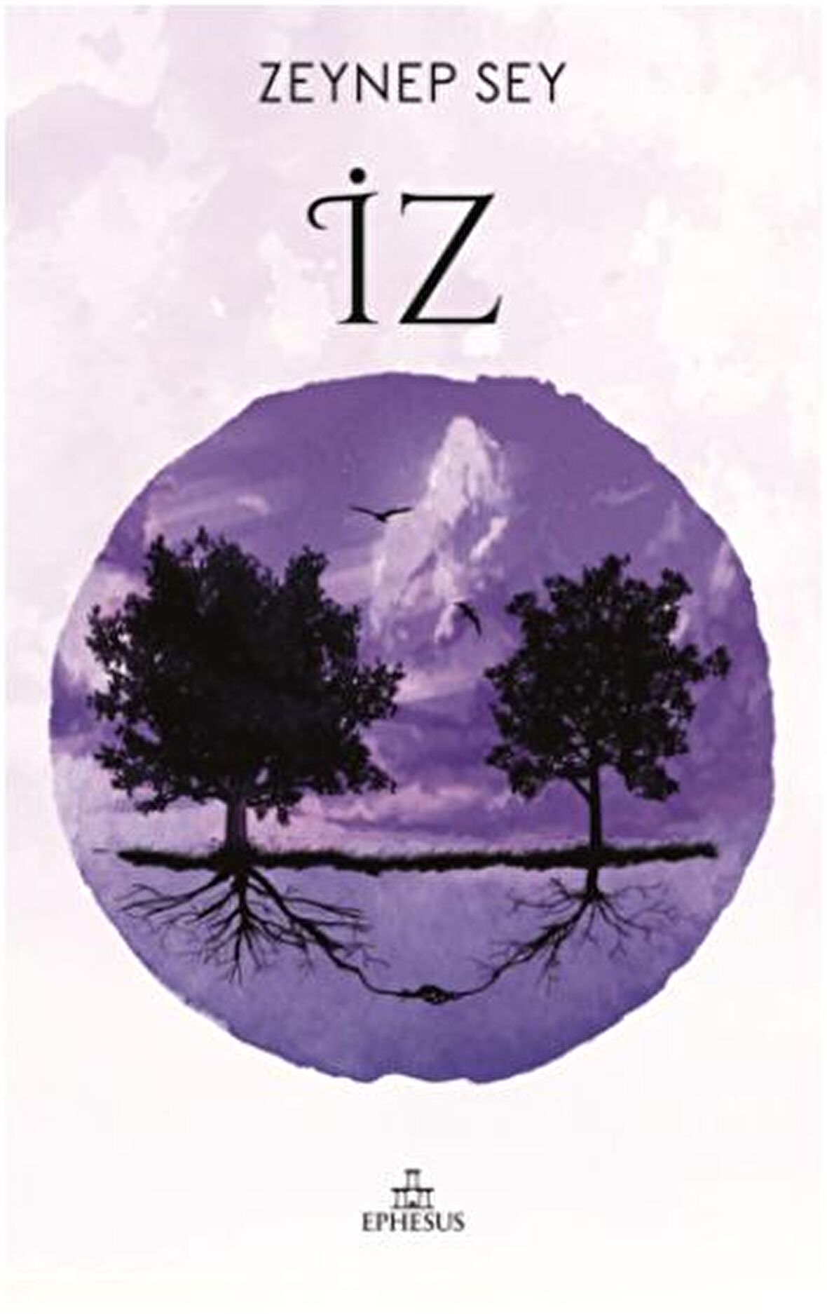 İz