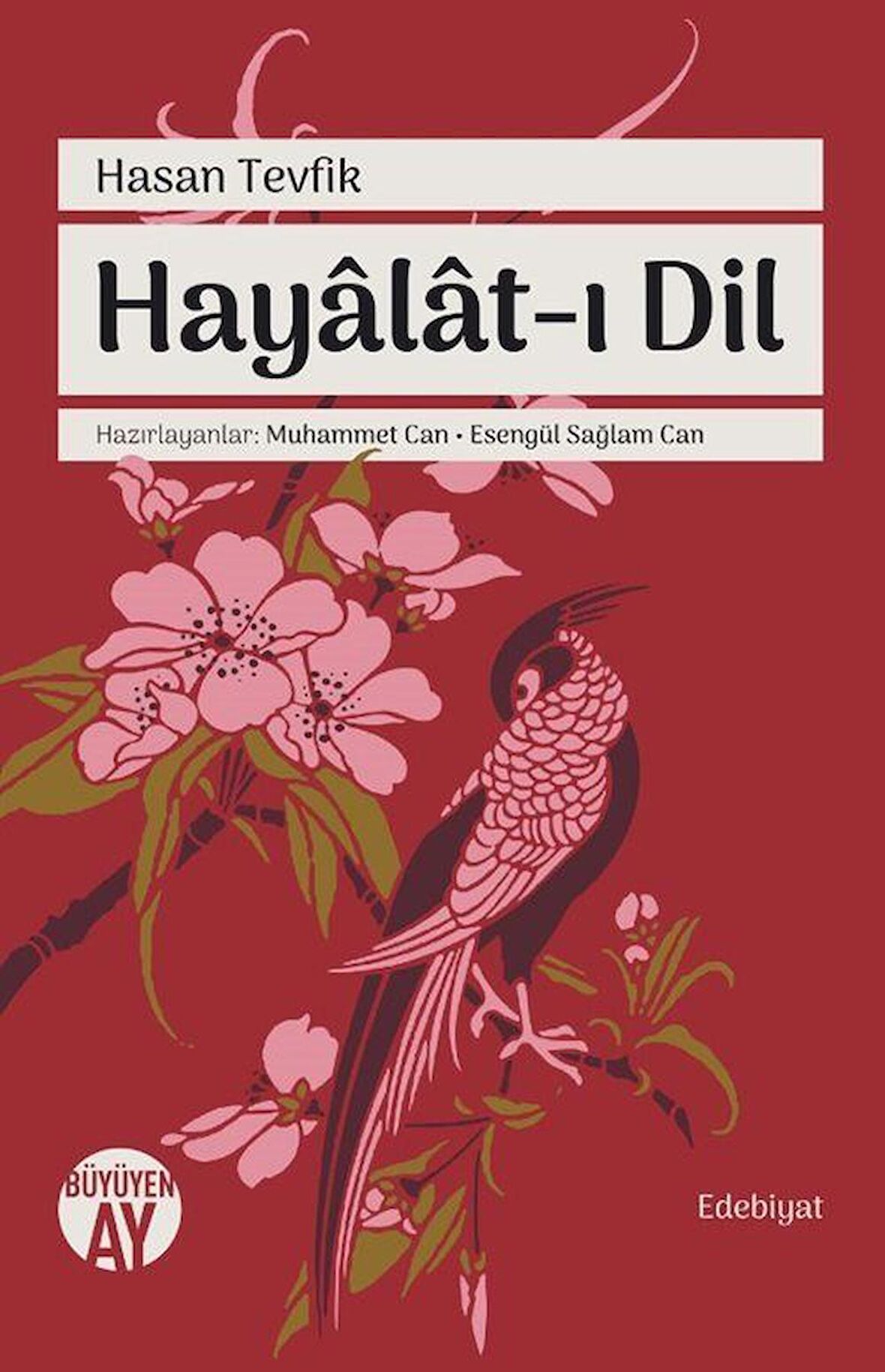 Hayalat-ı Dil