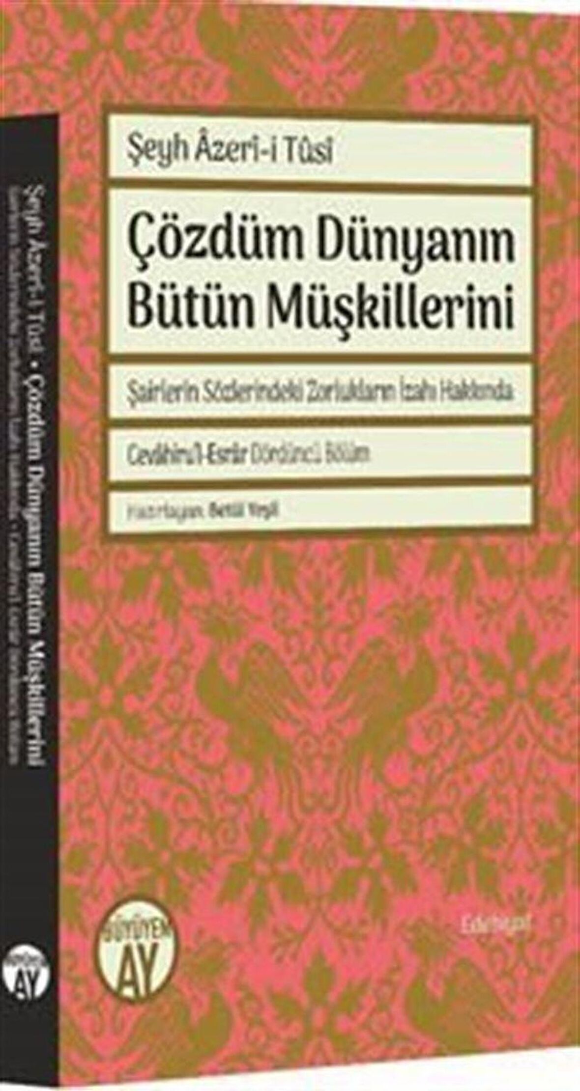 Çözdüm Dünyanın Bütün Müşkillerini