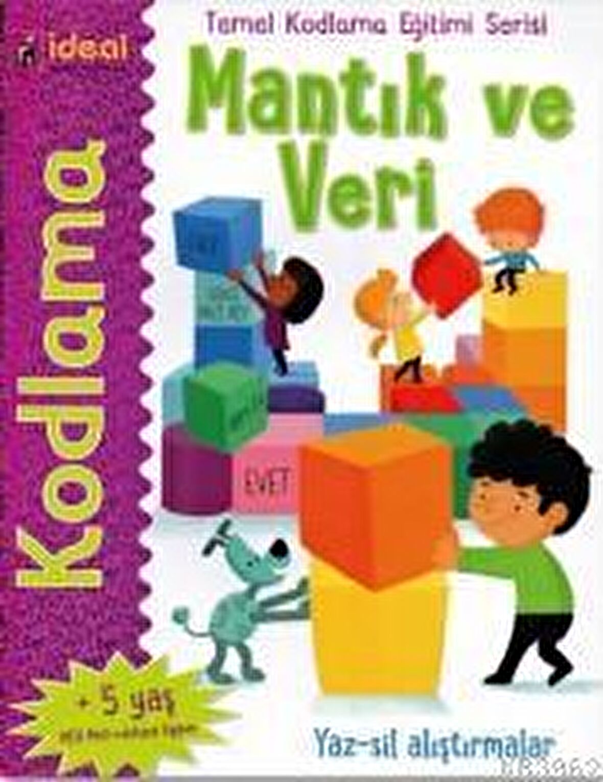 Mantık ve Veri - Temel Kodlama Eğitimi Serisi