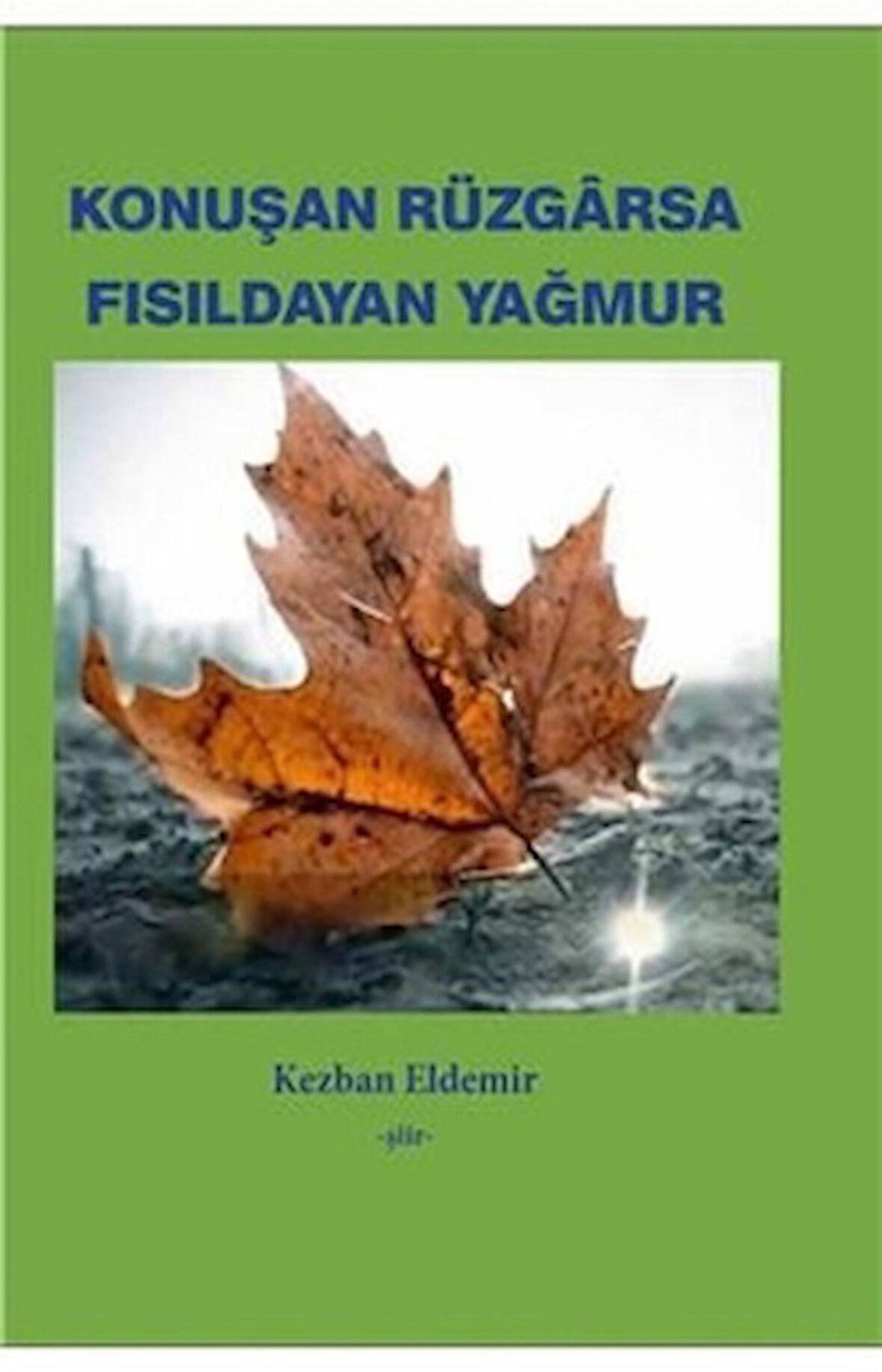 Konuşan Rüzgarsa Fısıldayan Yağmur