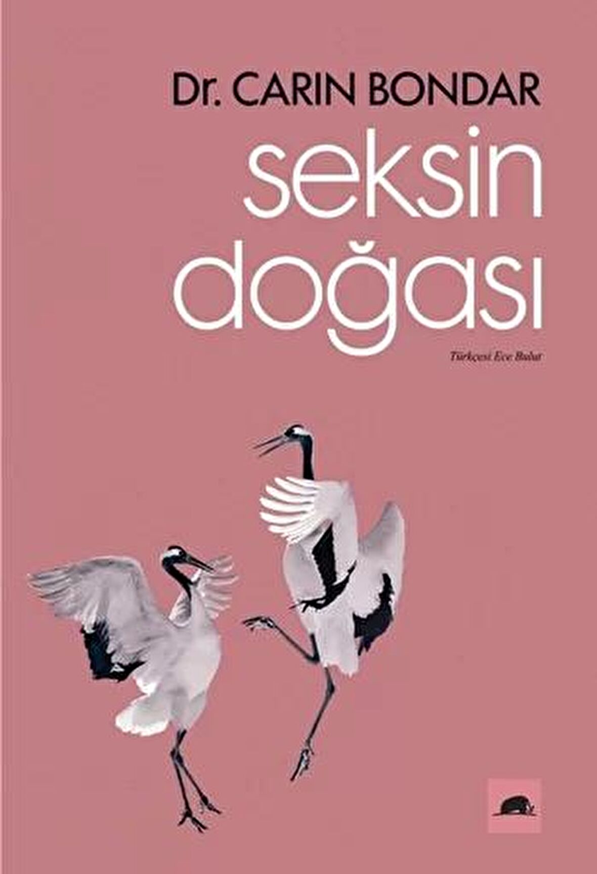 Seksin Doğası