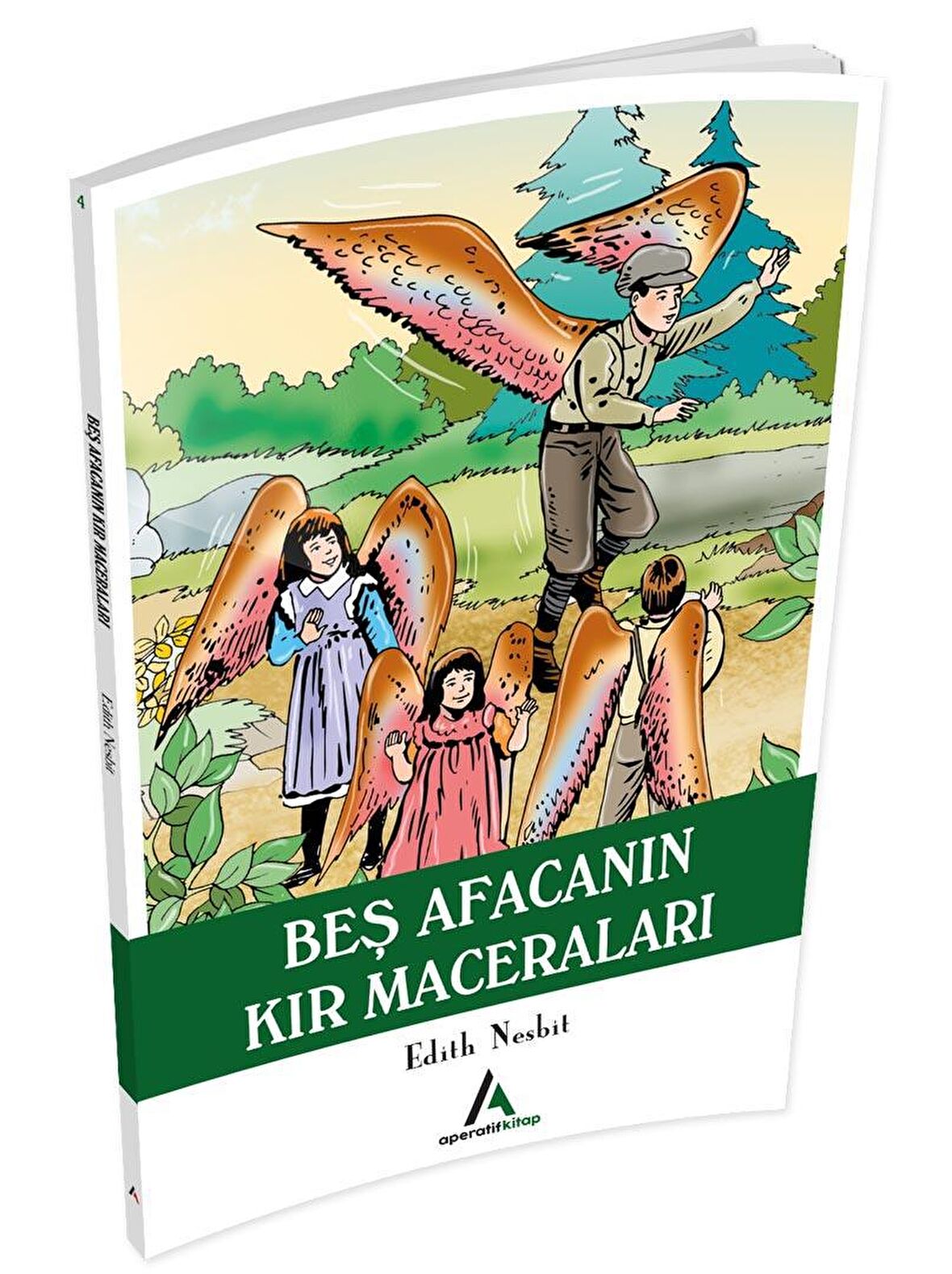 Beş Afacanın Kır Maceraları