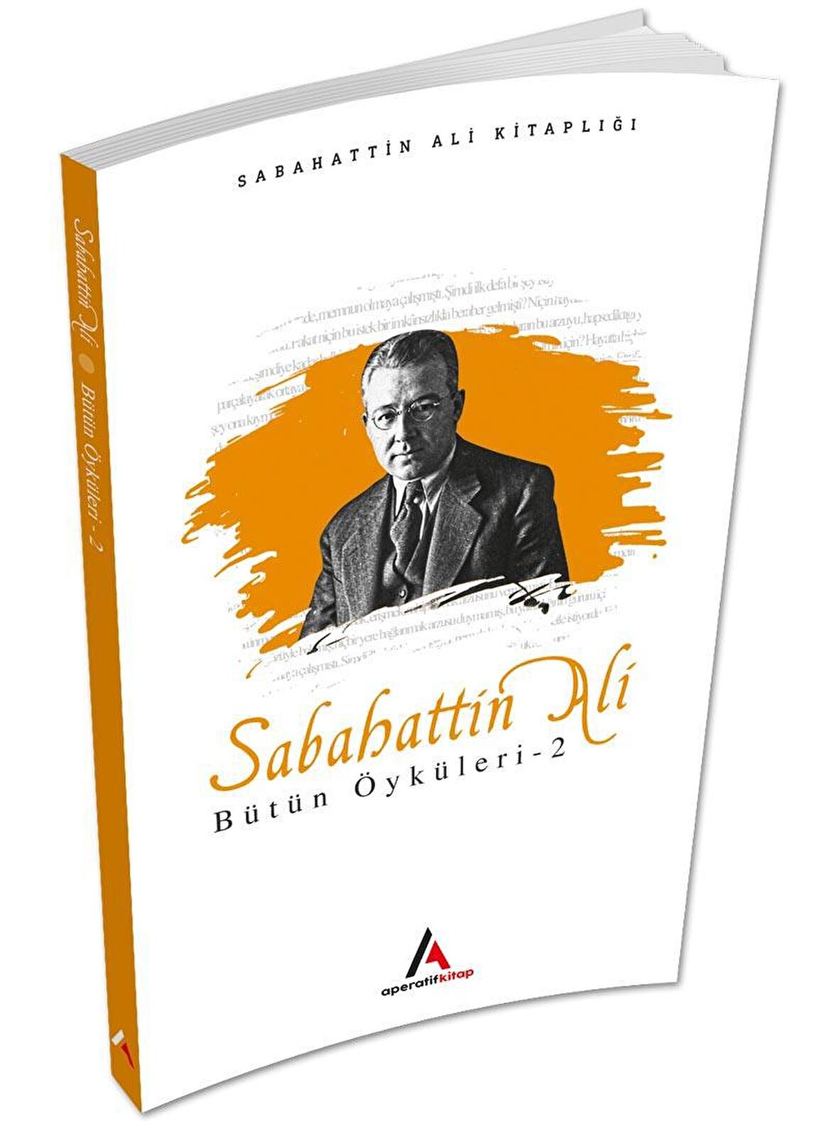 Sabahattin Ali Bütün Öyküleri 2