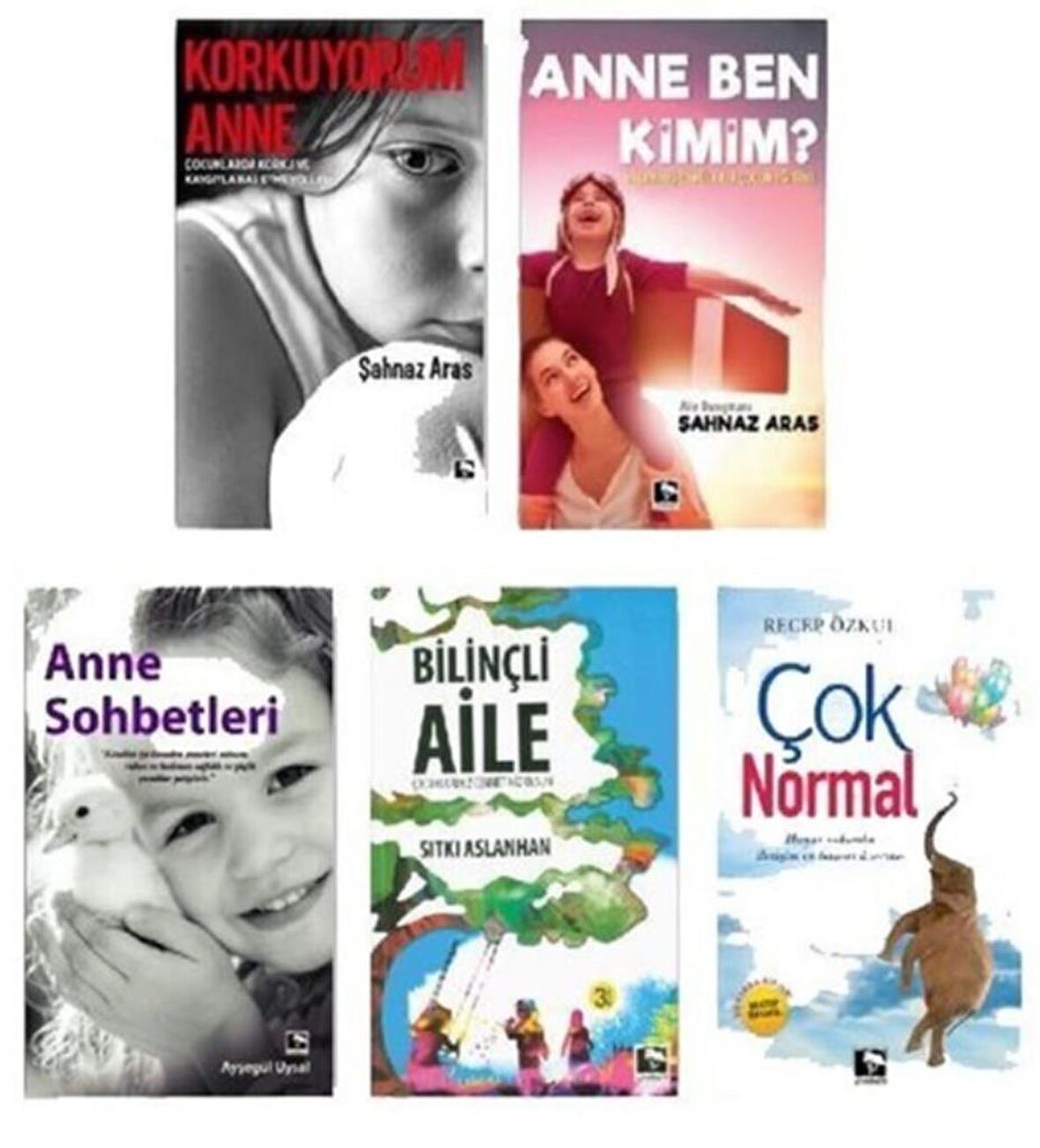 Çınaraltı Çocuk Eğitim Seti 5 Kitap 
