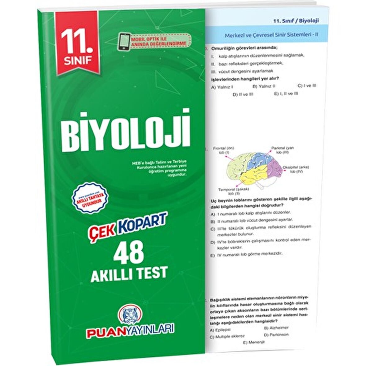 Puan 11.Sınıf Biyoloji Yaprak Test