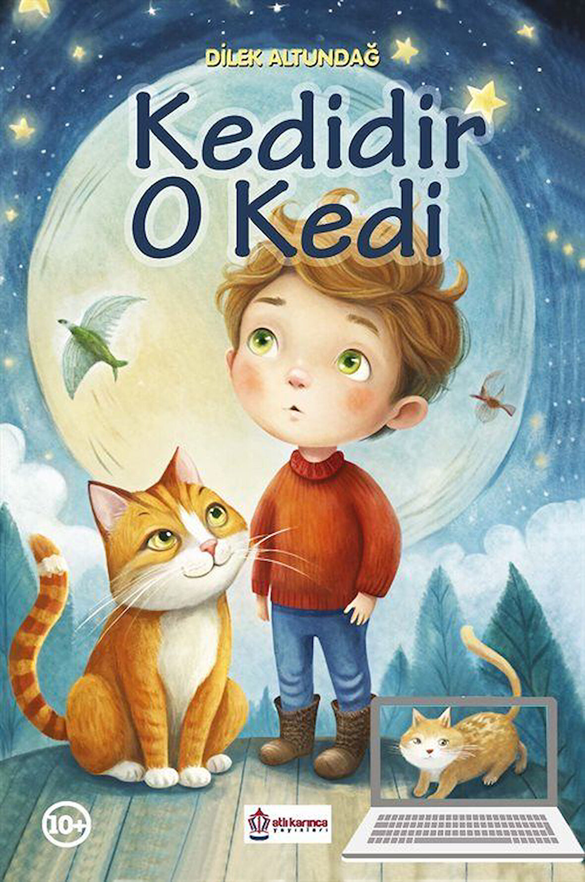 Kedidir O Kedi / Dilek Altundağ