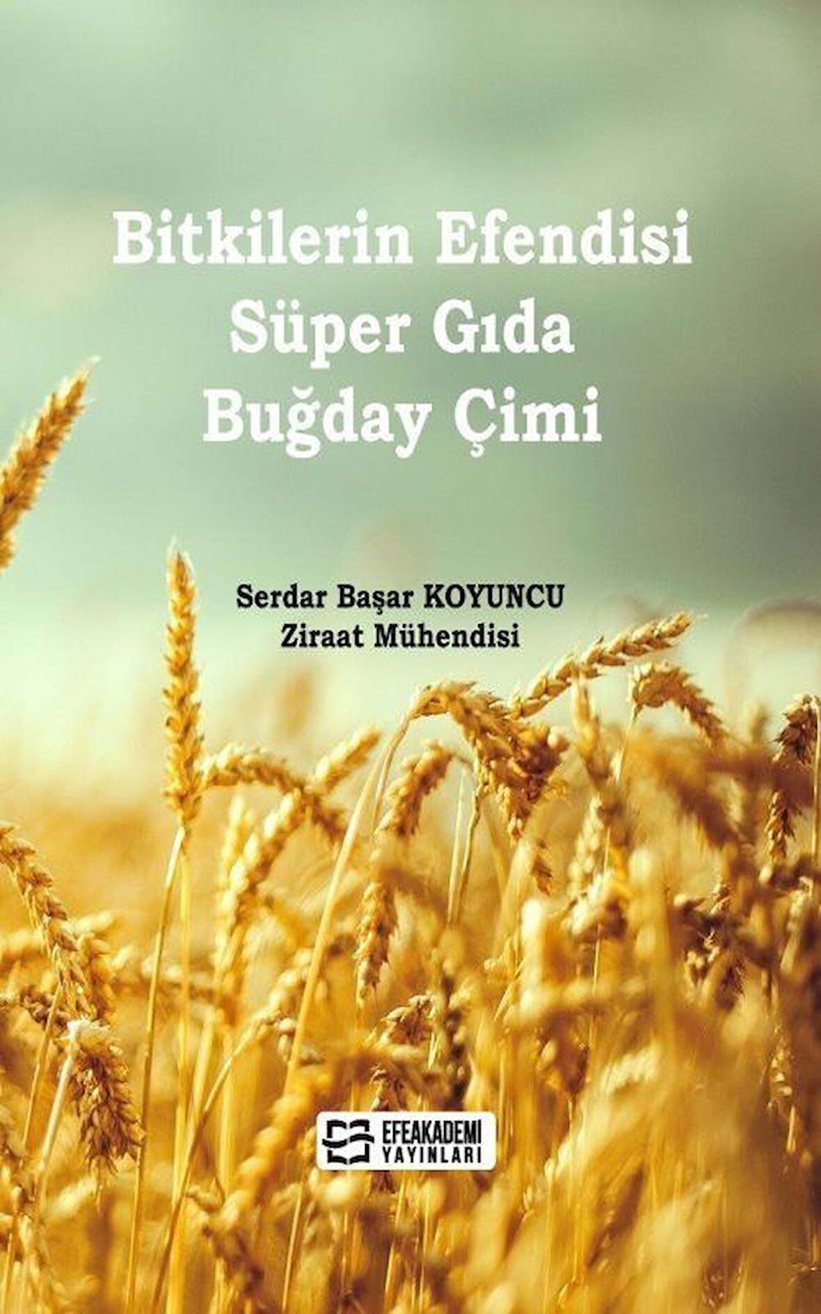 Bitkilerin Efendisi Süper Gıda Buğday Çimi