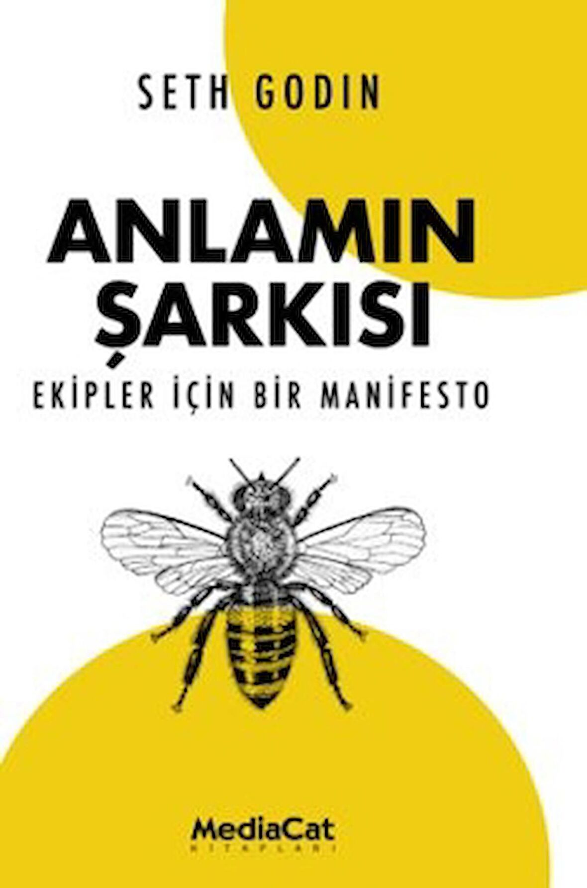 Anlamın Şarkısı