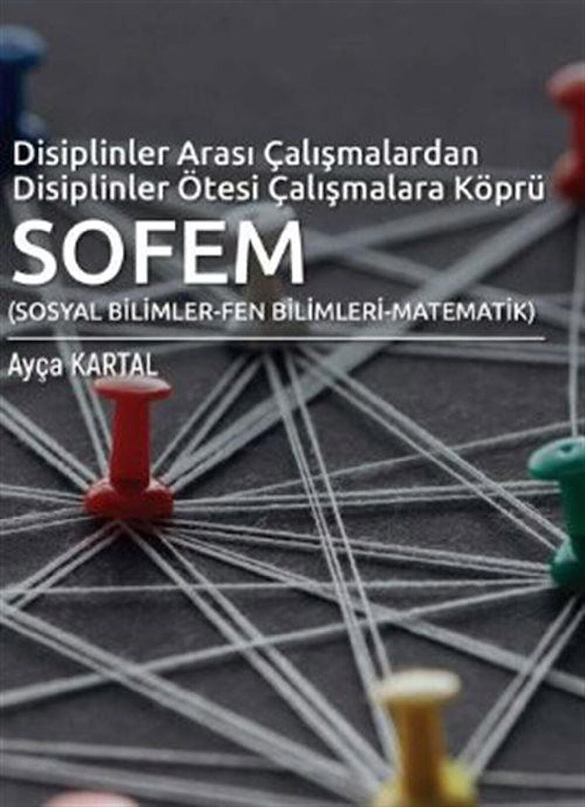 Disiplinler Arası Çalışmalardan Disiplinler Ötesi Çalışmalara Köprü SOFEM