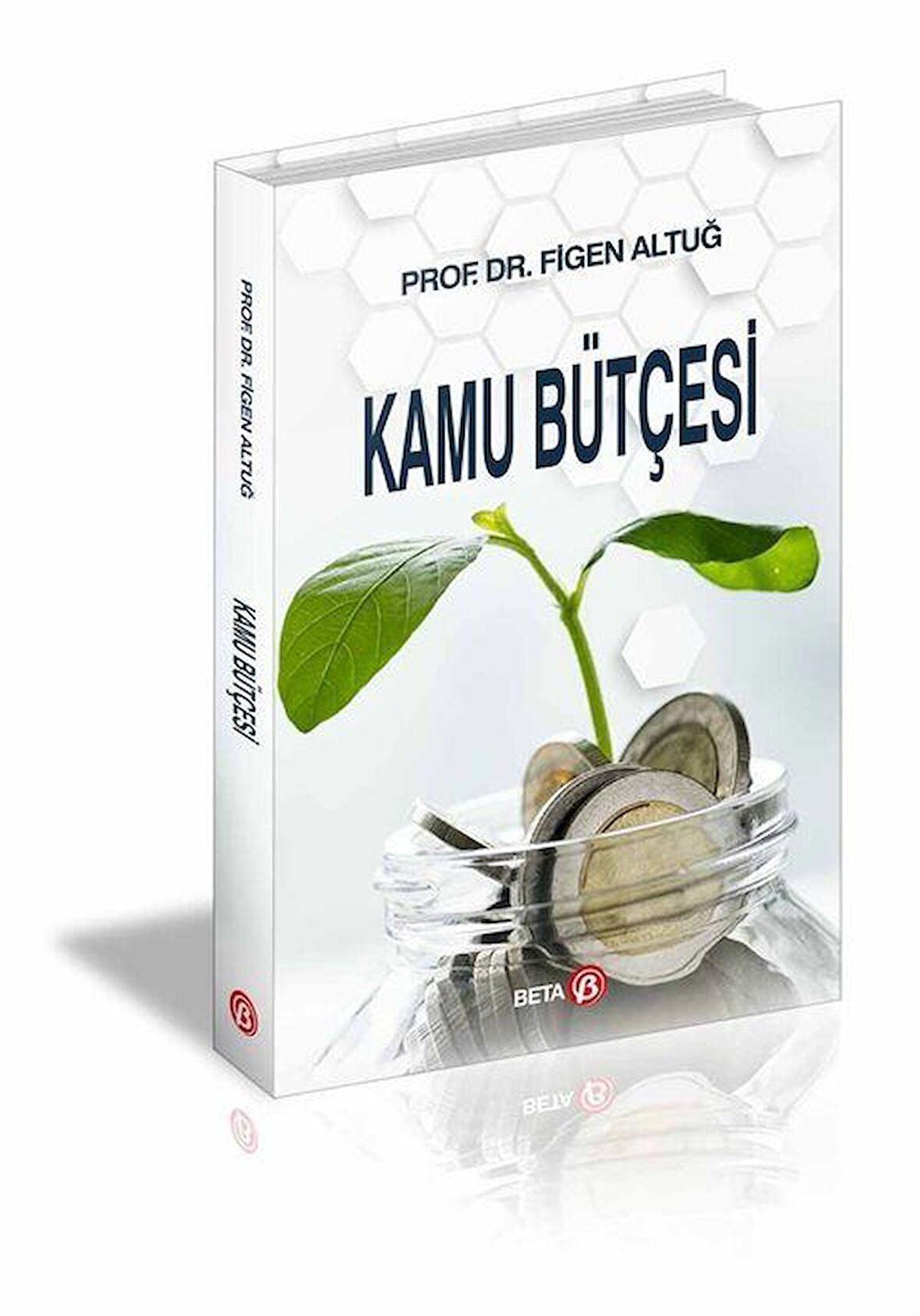 Kamu Bütçesi / Prof. Dr. Figen Altuğ