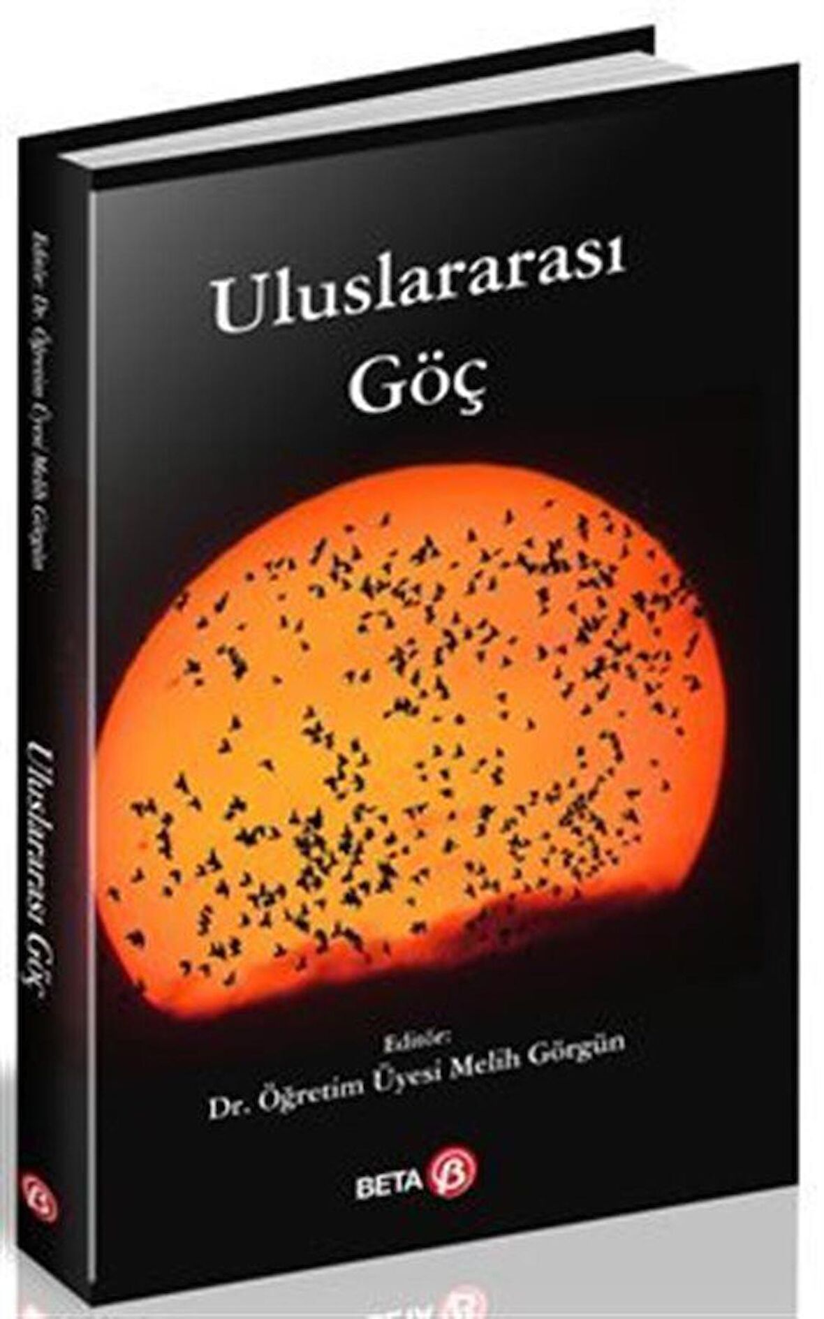 Uluslararası Göç
