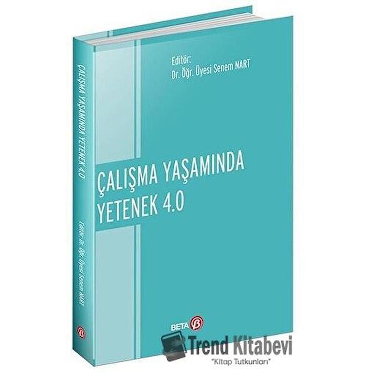 Çalışma Yaşamında Yetenek 4.0