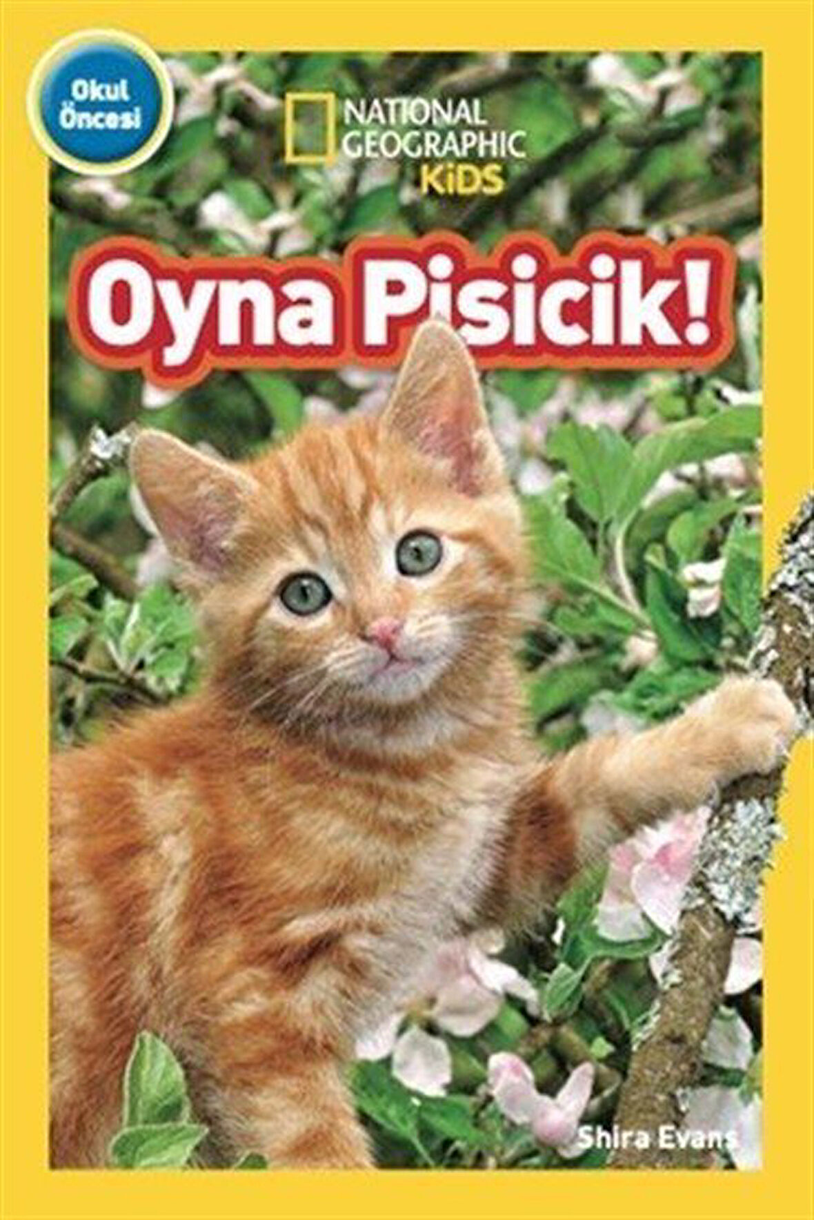 National Geographıc Kids - Oyna Pisicik! / Shira Evans