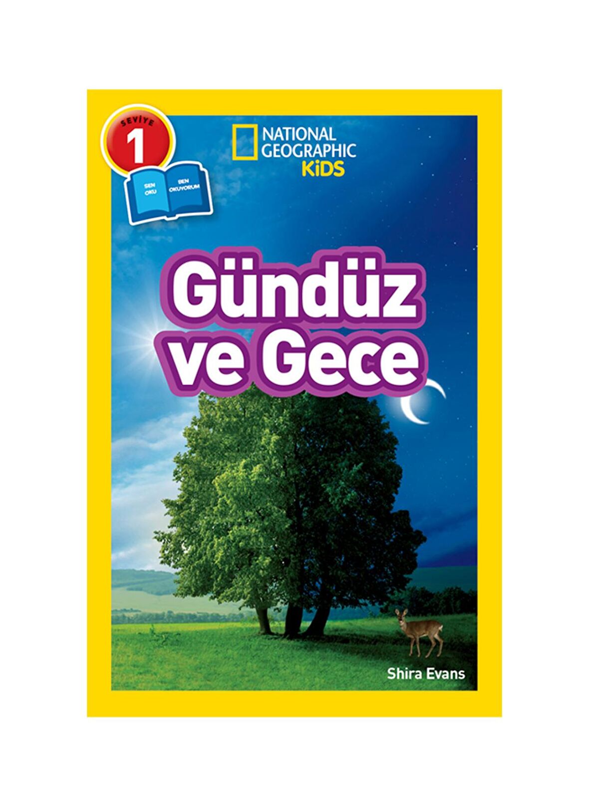 Gündüz ve Gece - Seviye 1