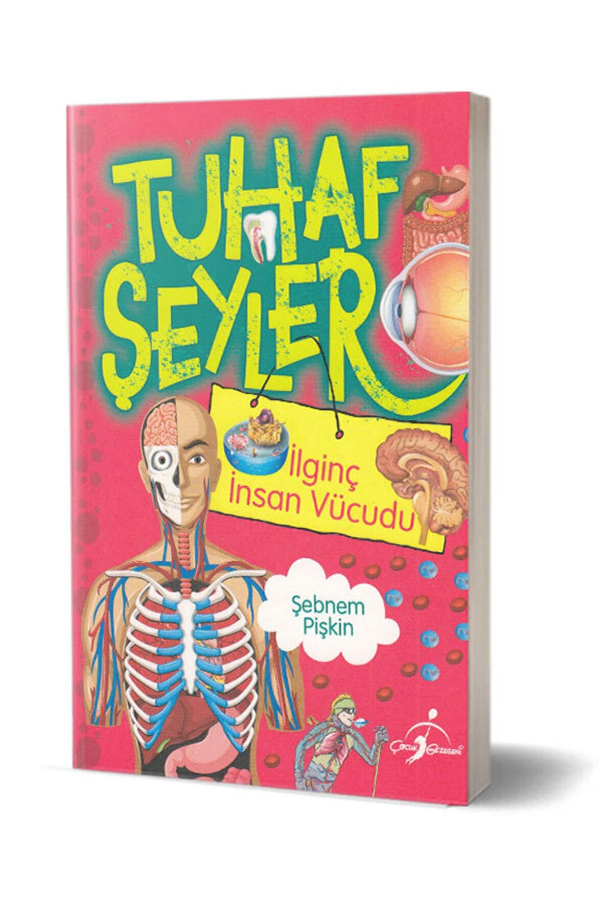 Tuhaf Şeyler - İlginç İnsan Vücudu