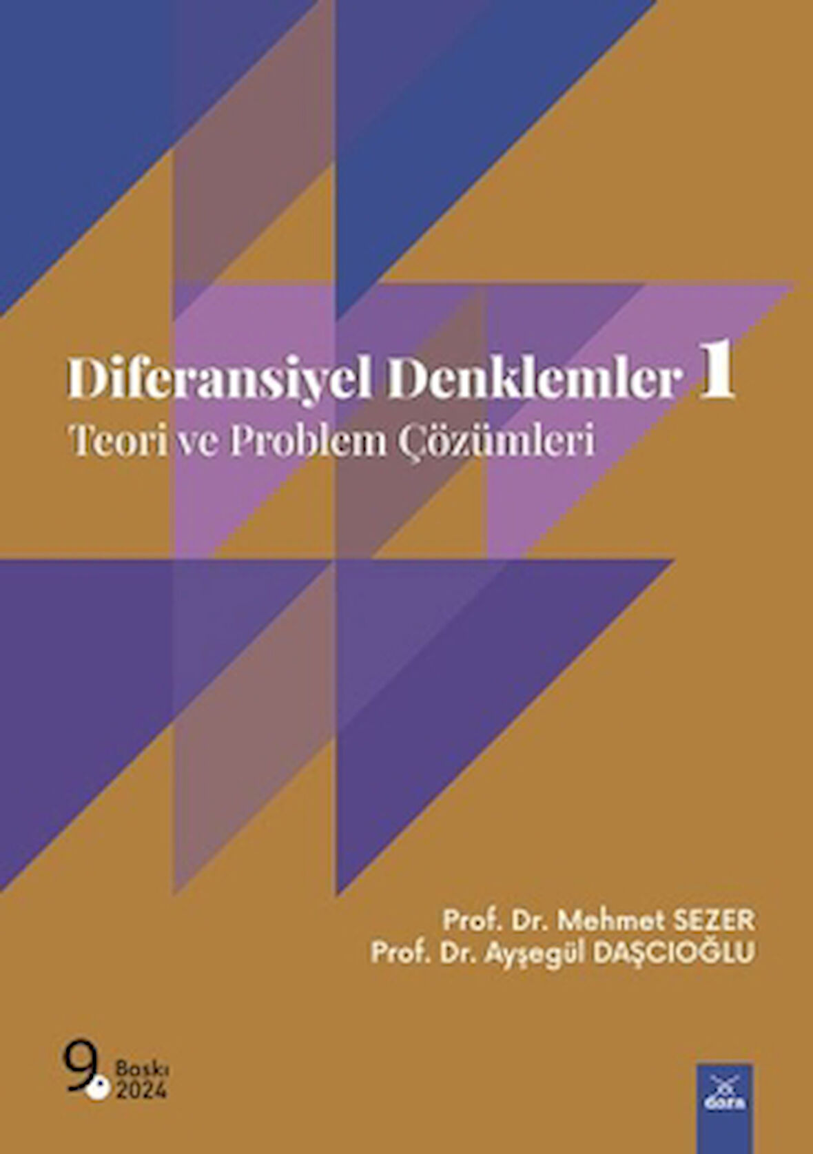 Diferansiyel Denklemler 1