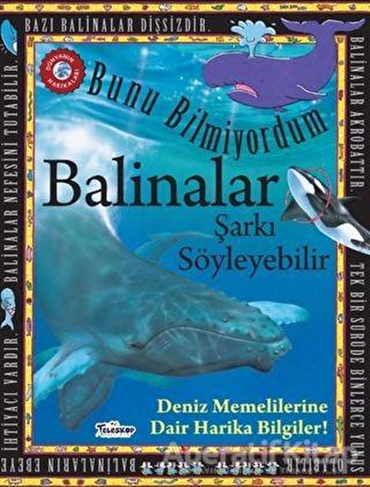 Bunu Bilmiyordum - Balinalar Şarkı Söyleyebilir