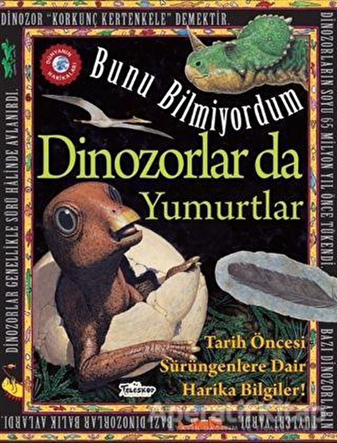 Bunu Bilmiyordum - Dinozorlar da Yumurtlar