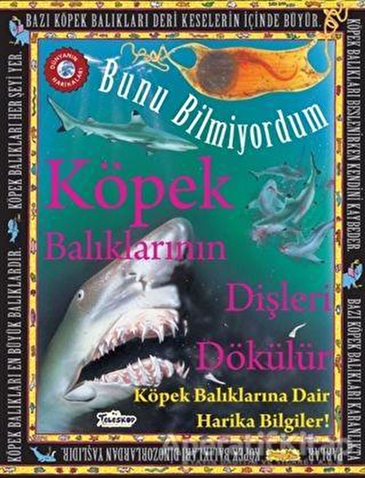 Bunu Bilmiyordum - Köpek Balıklarının Dişleri Dökülür