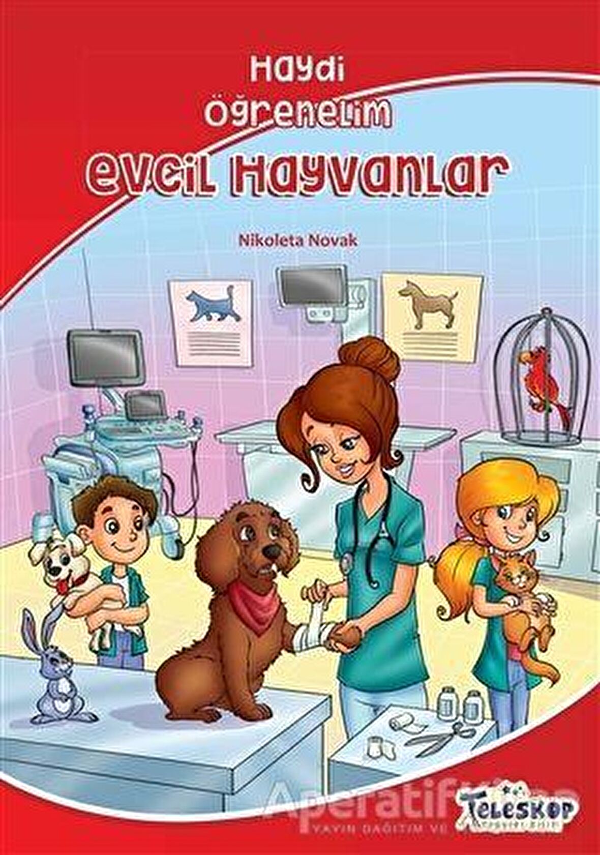 Evcil Hayvanlar - Haydi Öğrenelim