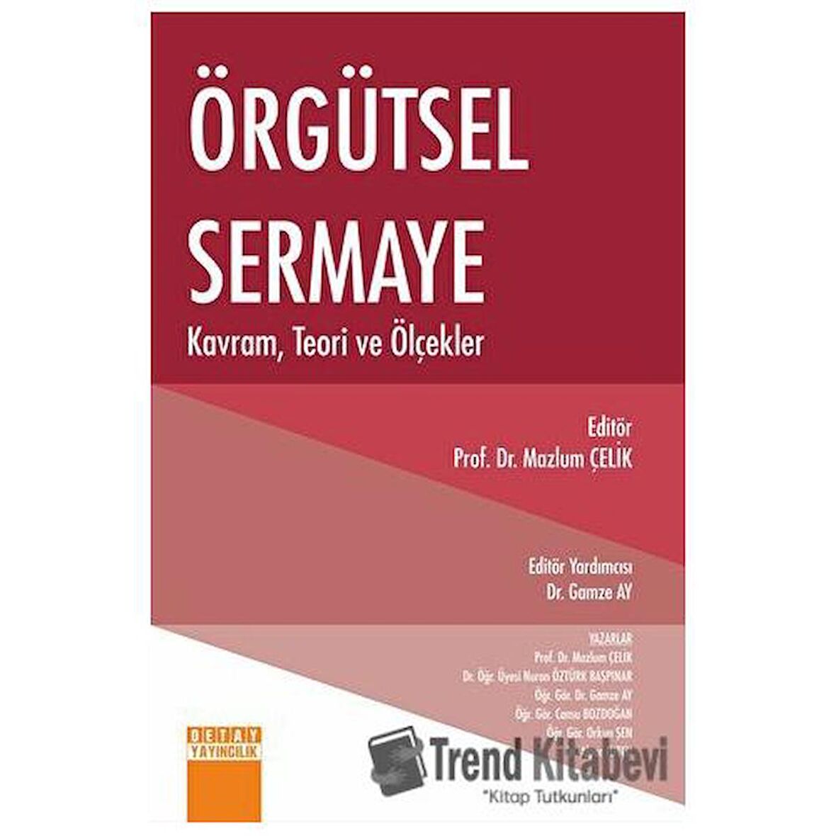 Örgütsel Sermaye Kavram, Teori ve Ölçekler