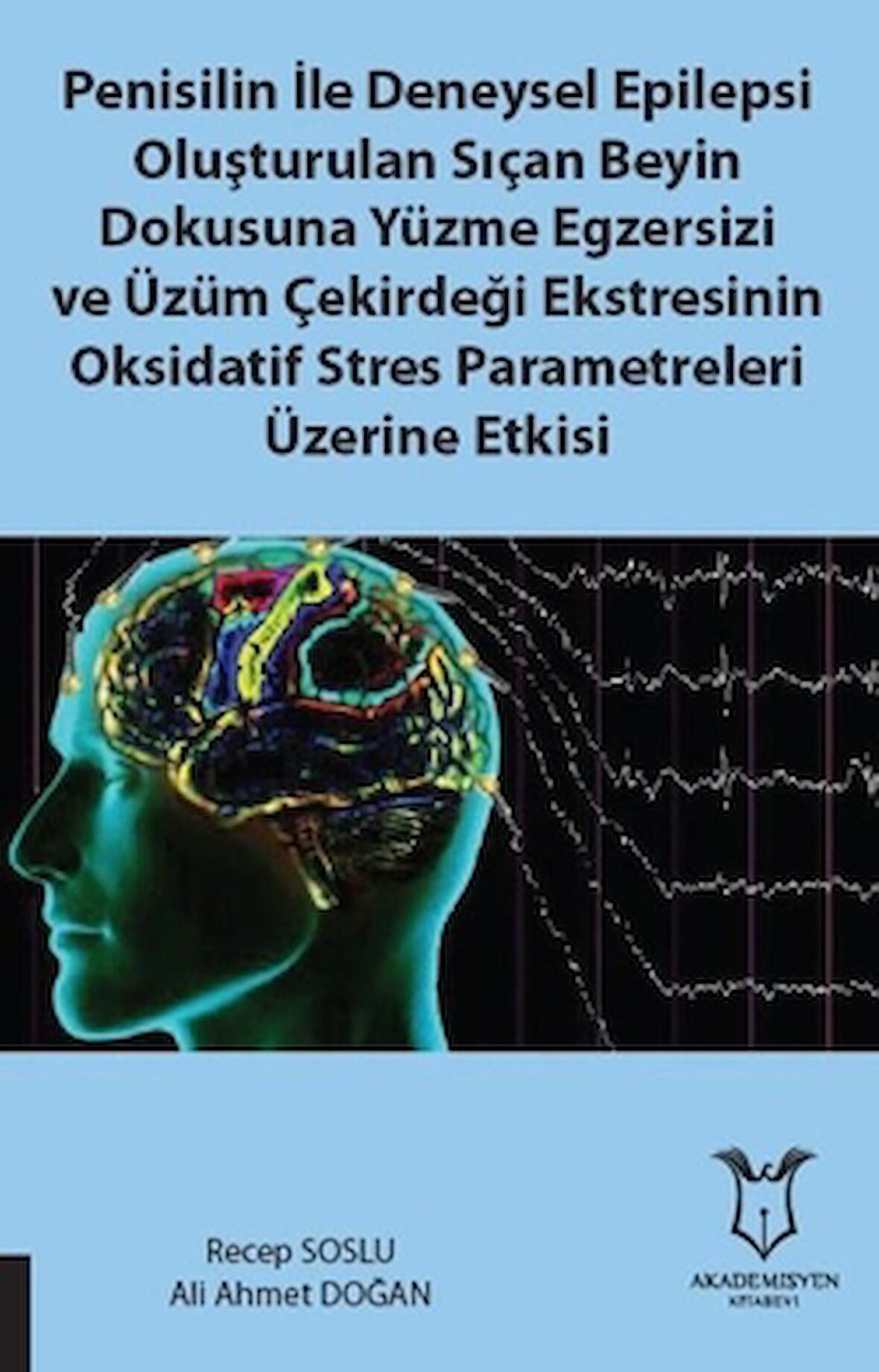 Penisilin İle Deneysel Epilepsi Oluşturulan Sıçan Beyin Dokusuna Yüzme Egzersizi ve Üzüm Çekirdeği Ekstresinin Oksidatif Stres Parametreleri Üzerine Etkisi