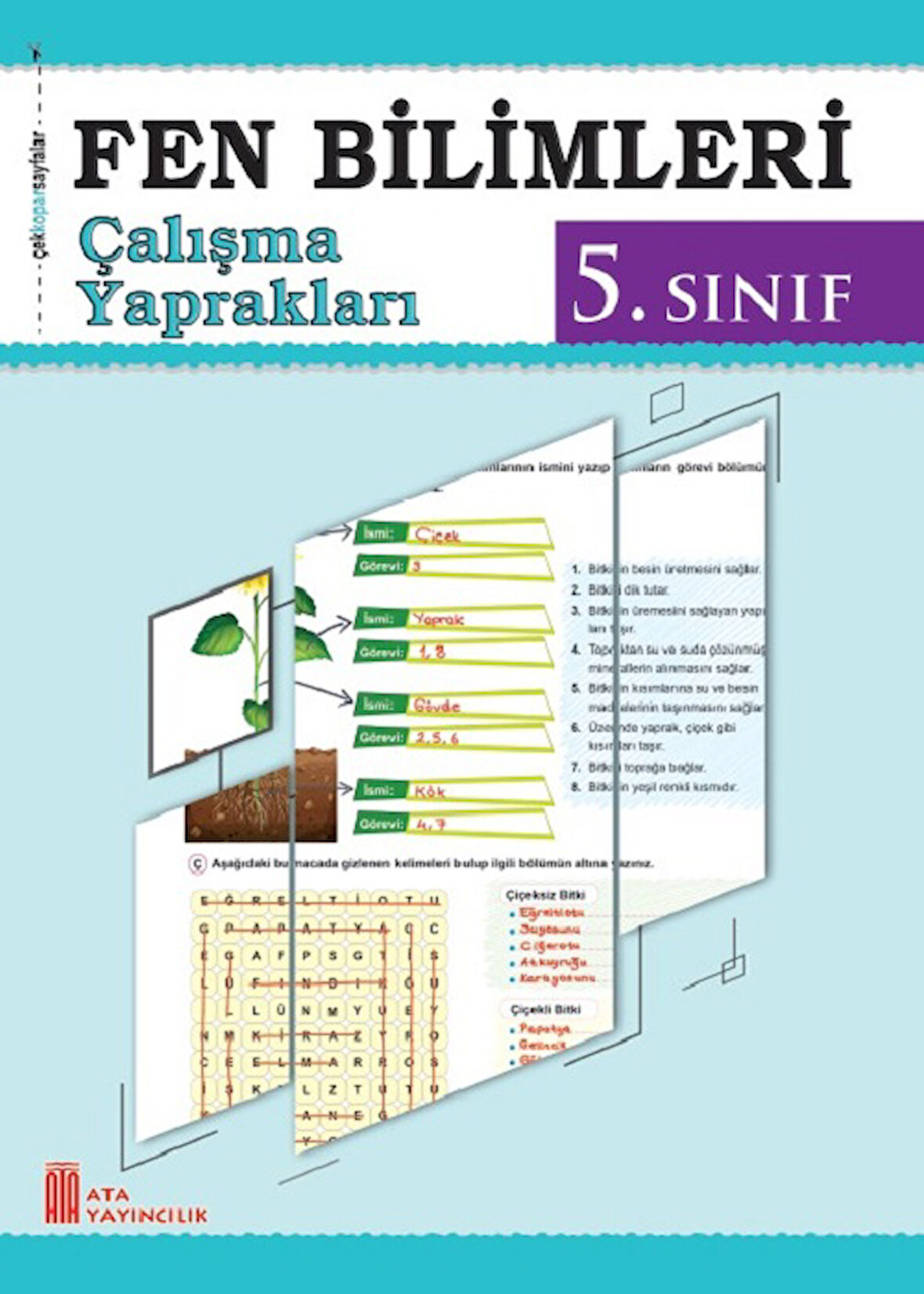Ata 5.Sınıf Fen Bilimleri Çalışma Yaprakları